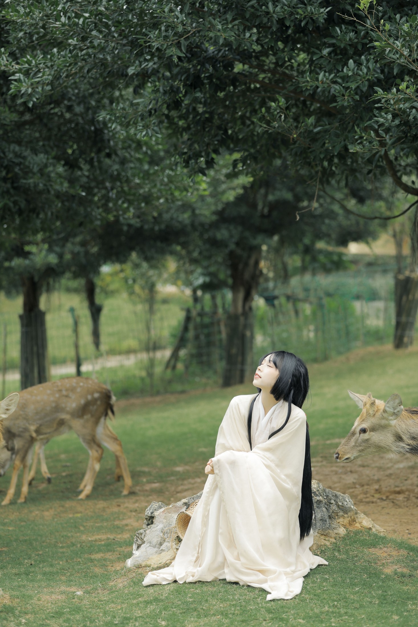 图片[5]-槐枝- – 《鹿鸣》[27P]-COS写真在线网