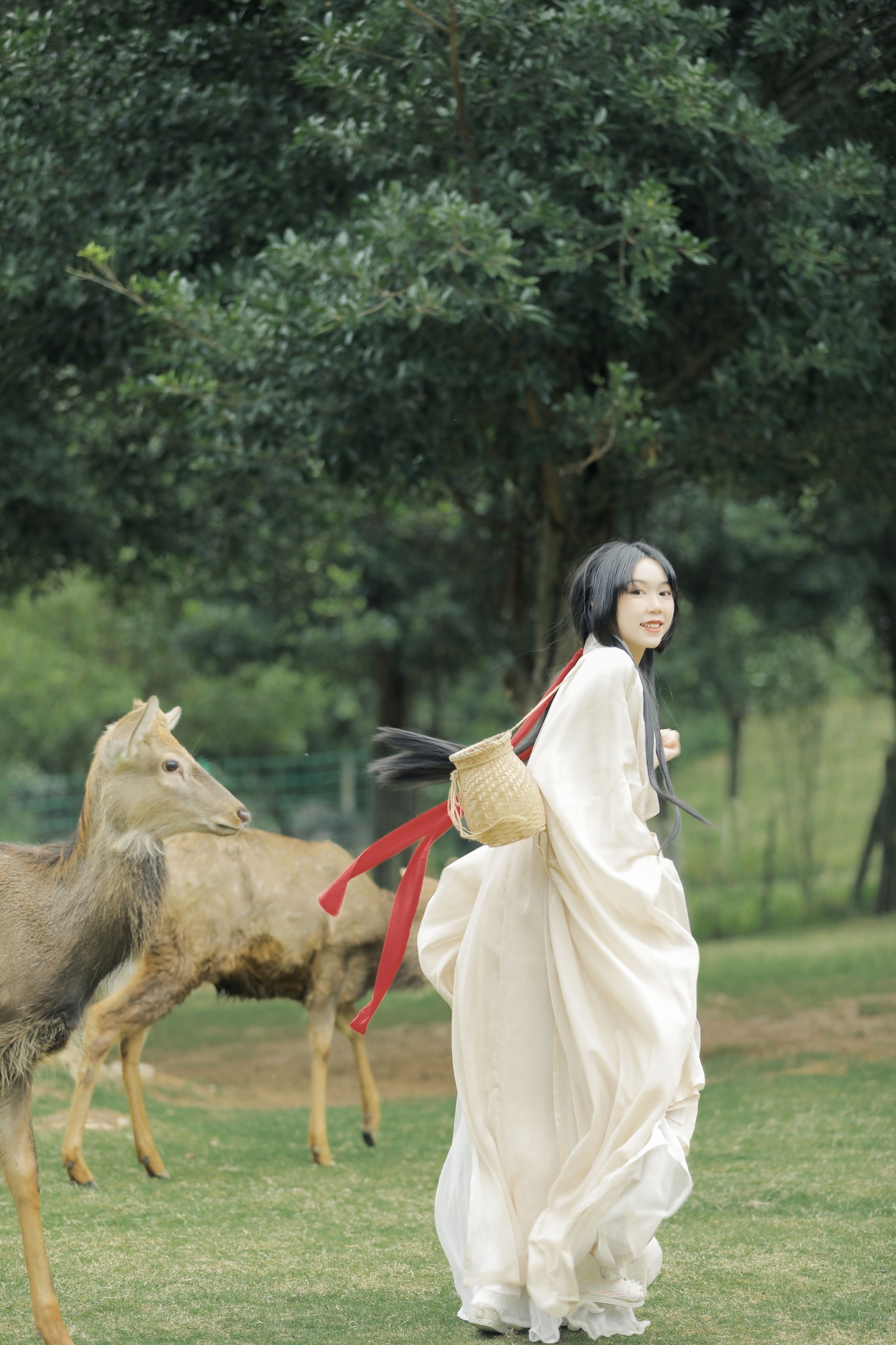 图片[4]-槐枝- – 《鹿鸣》[27P]-COS写真在线网