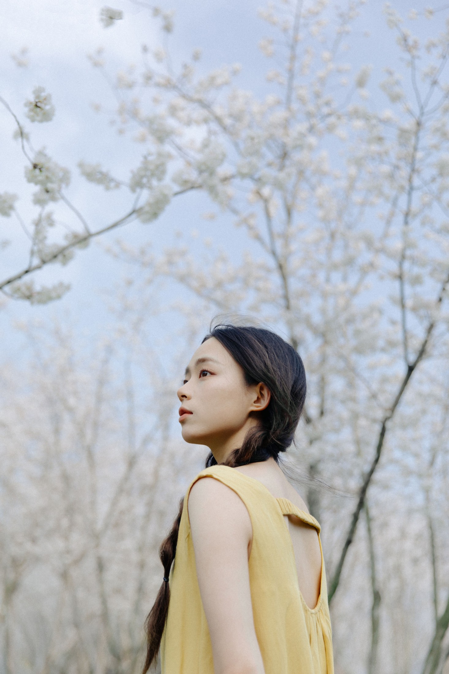 图片[5]-九麻MAA – 《遇见初樱》[27P]-COS写真在线网