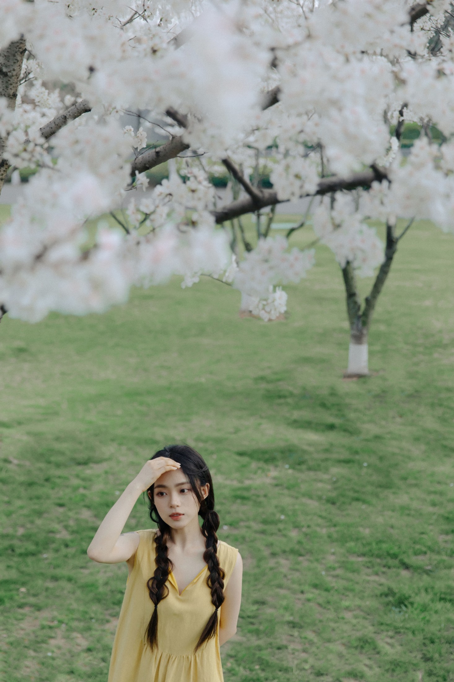 图片[4]-九麻MAA – 《遇见初樱》[27P]-COS写真在线网