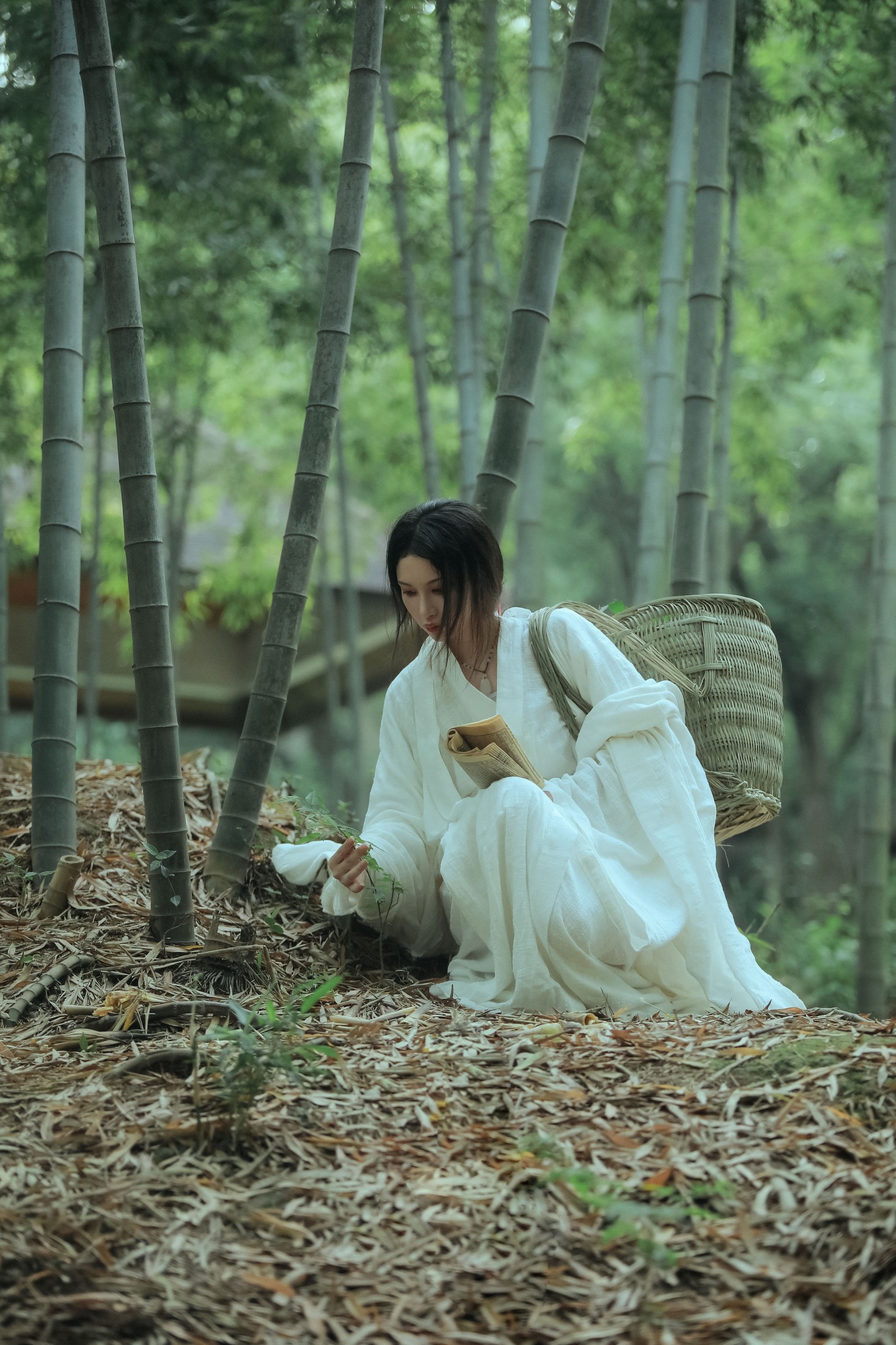 图片[3]-阿妍纸 – 《神农氏》[26P]-COS写真在线网