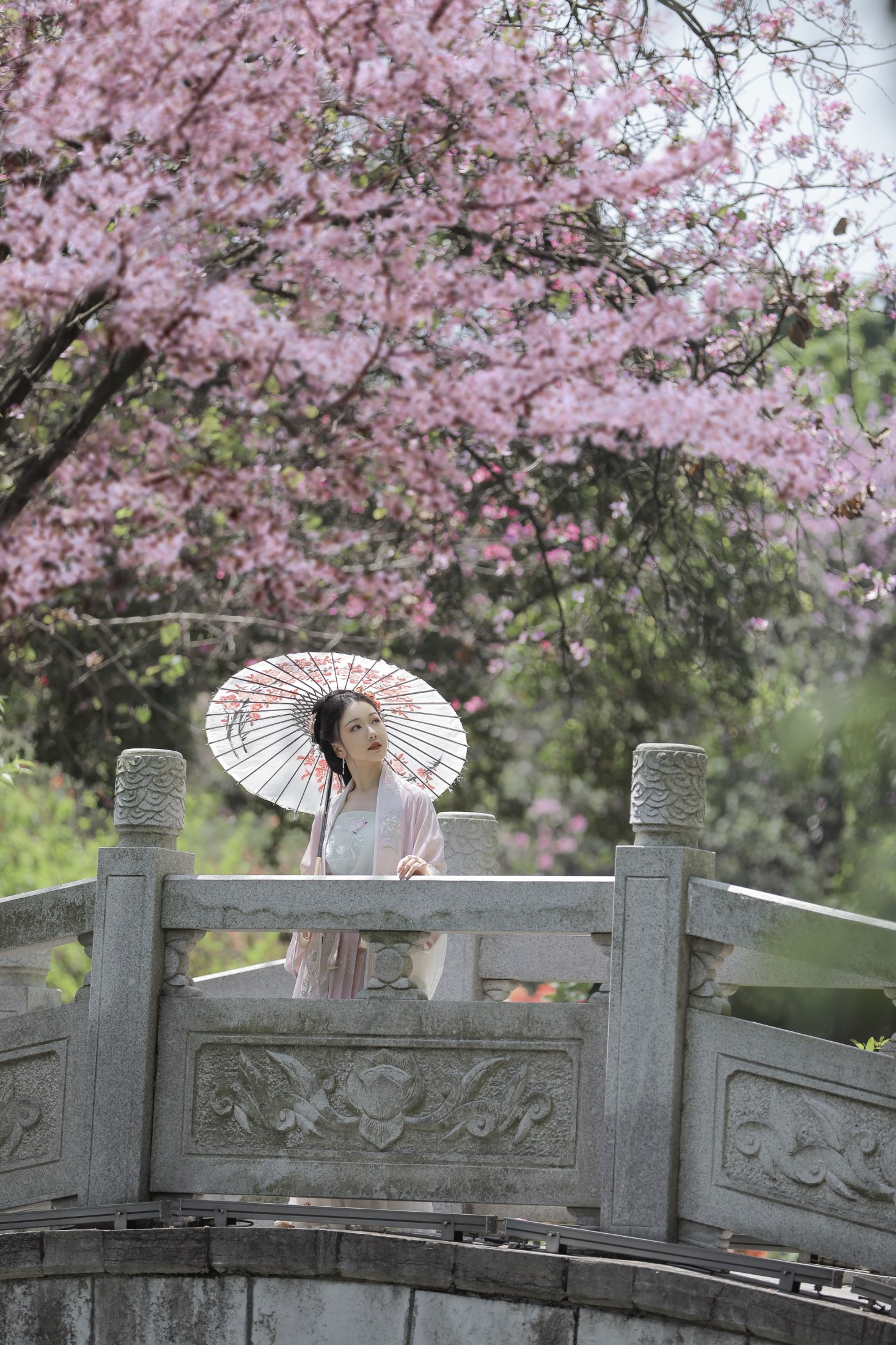 图片[3]-酸辣湯兒 – 《落花风》[27P]-COS写真在线网