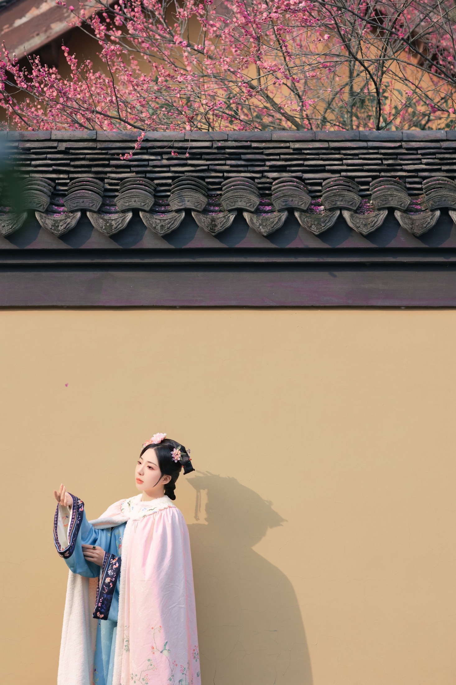 图片[3]-是真的南渊 – 《探梅》[43P]-COS写真在线网