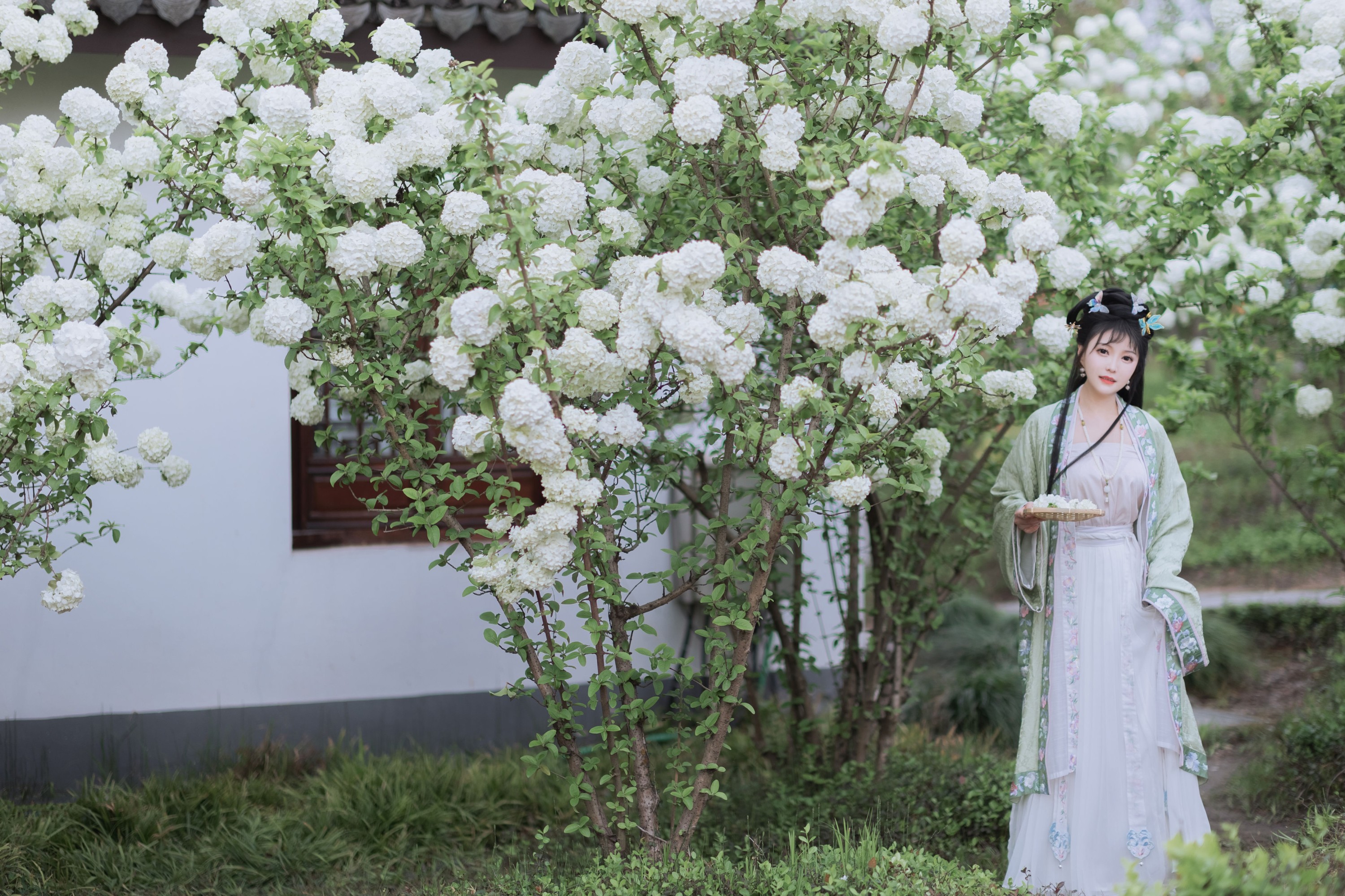 图片[3]-璐璐haley – 《探春》[42P]-COS写真在线网