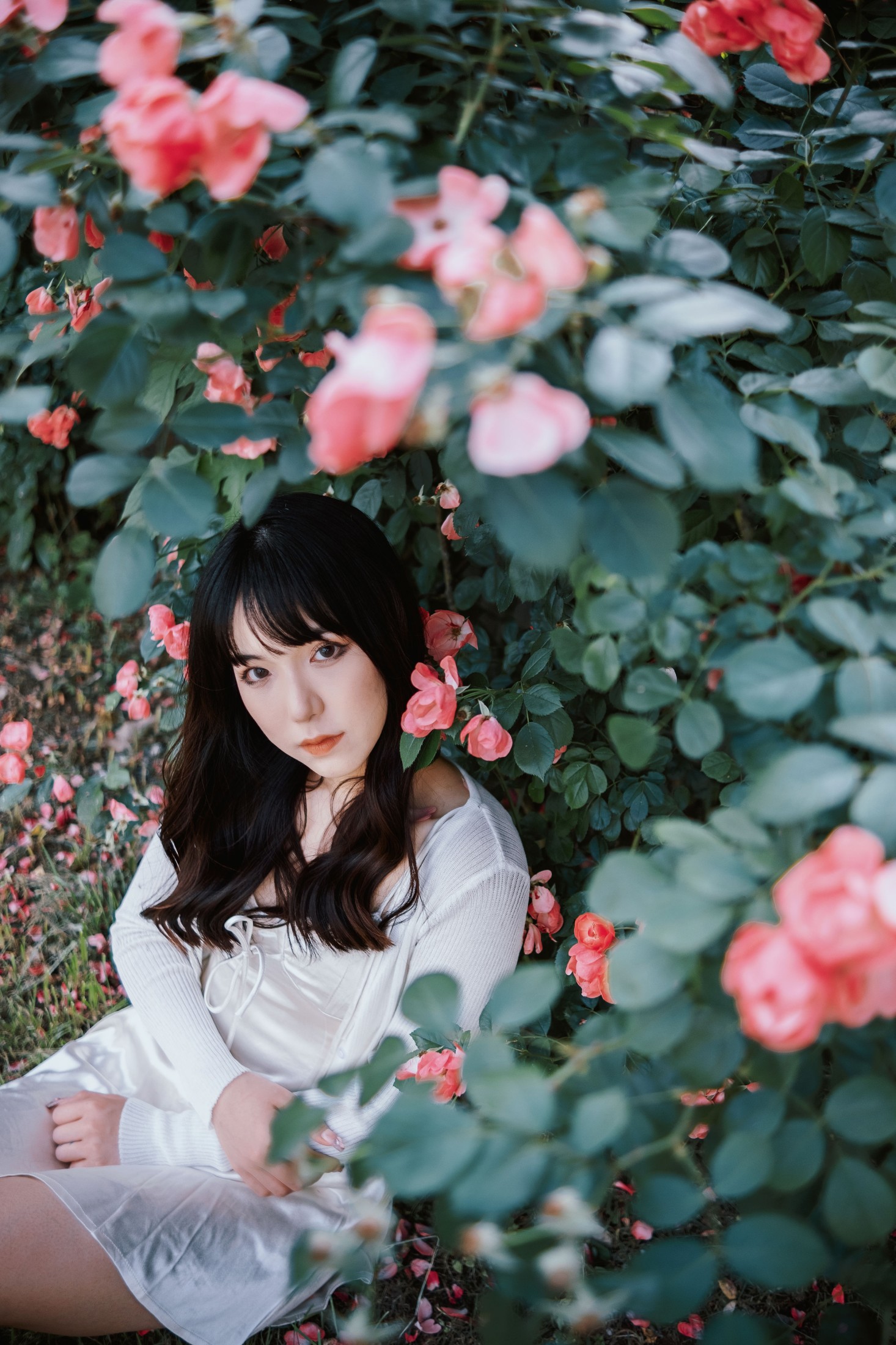 图片[6]-依依 – 《蔷薇花下》[25P]-COS写真在线网