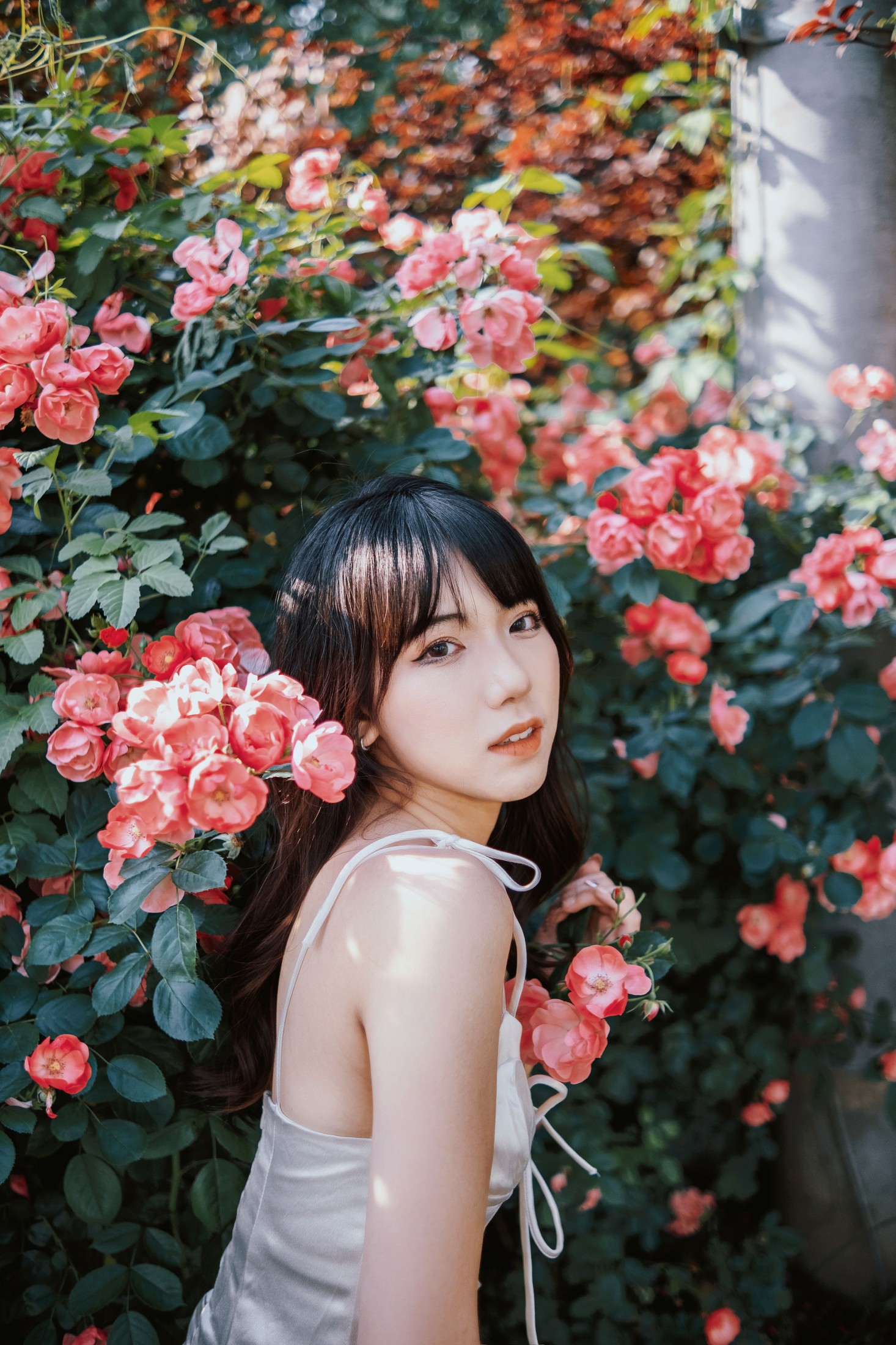 图片[4]-依依 – 《蔷薇花下》[25P]-COS写真在线网
