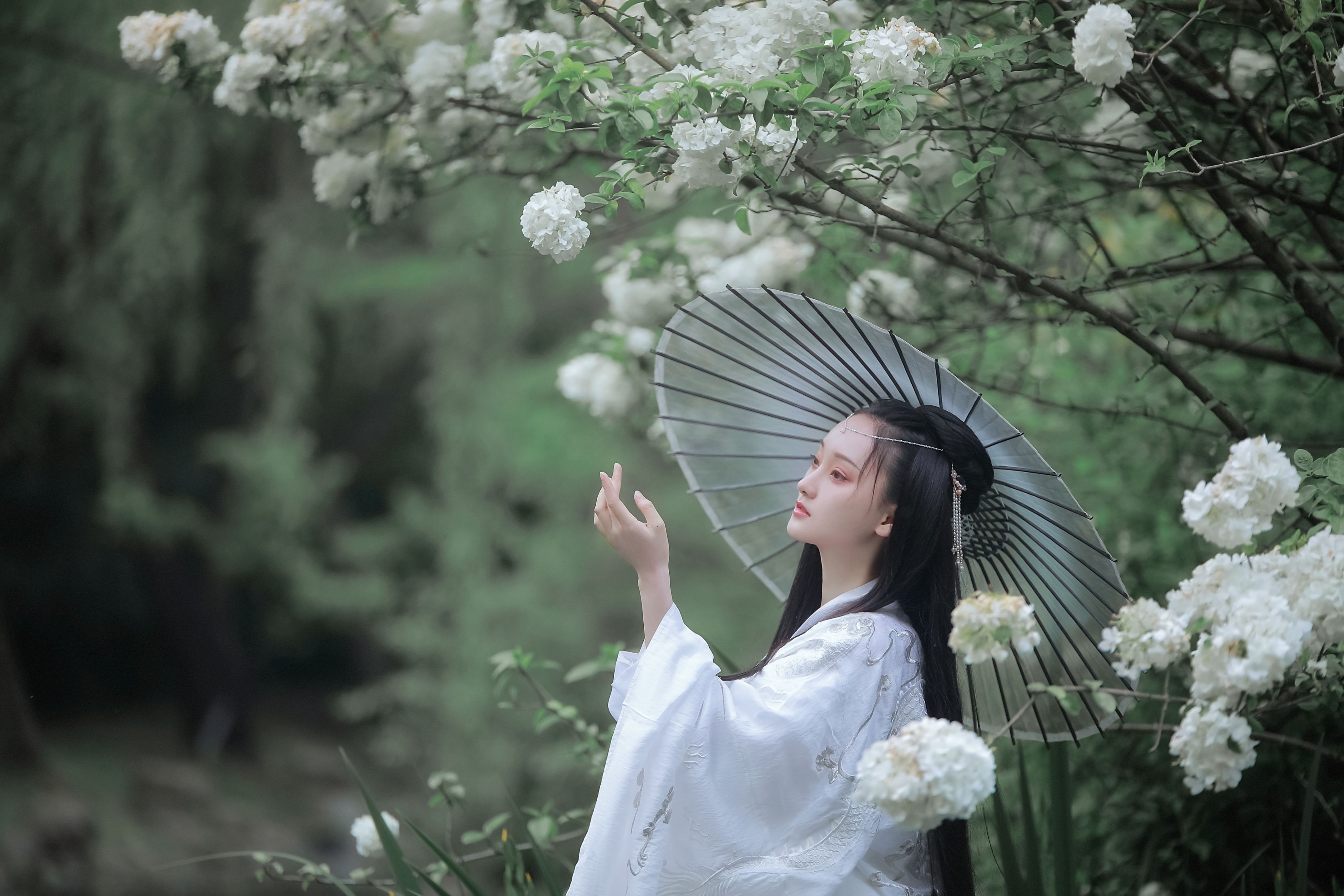 图片[4]-云之是小狐狸吖 – 《琼花并貌》[22P]-COS写真在线网