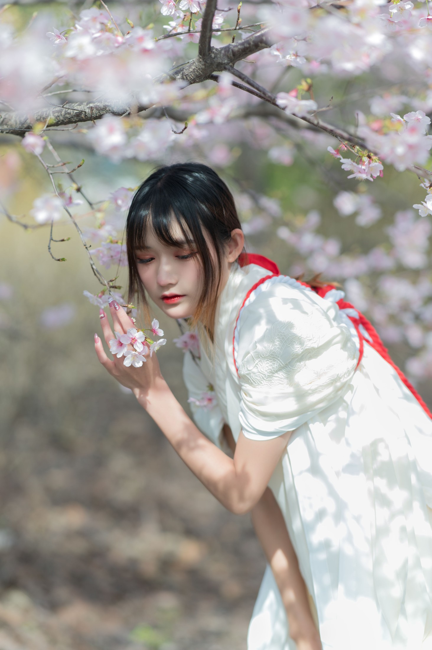 图片[3]-兔子Zzz不吃胡萝卜 – 《樱语》[28P]-COS写真在线网