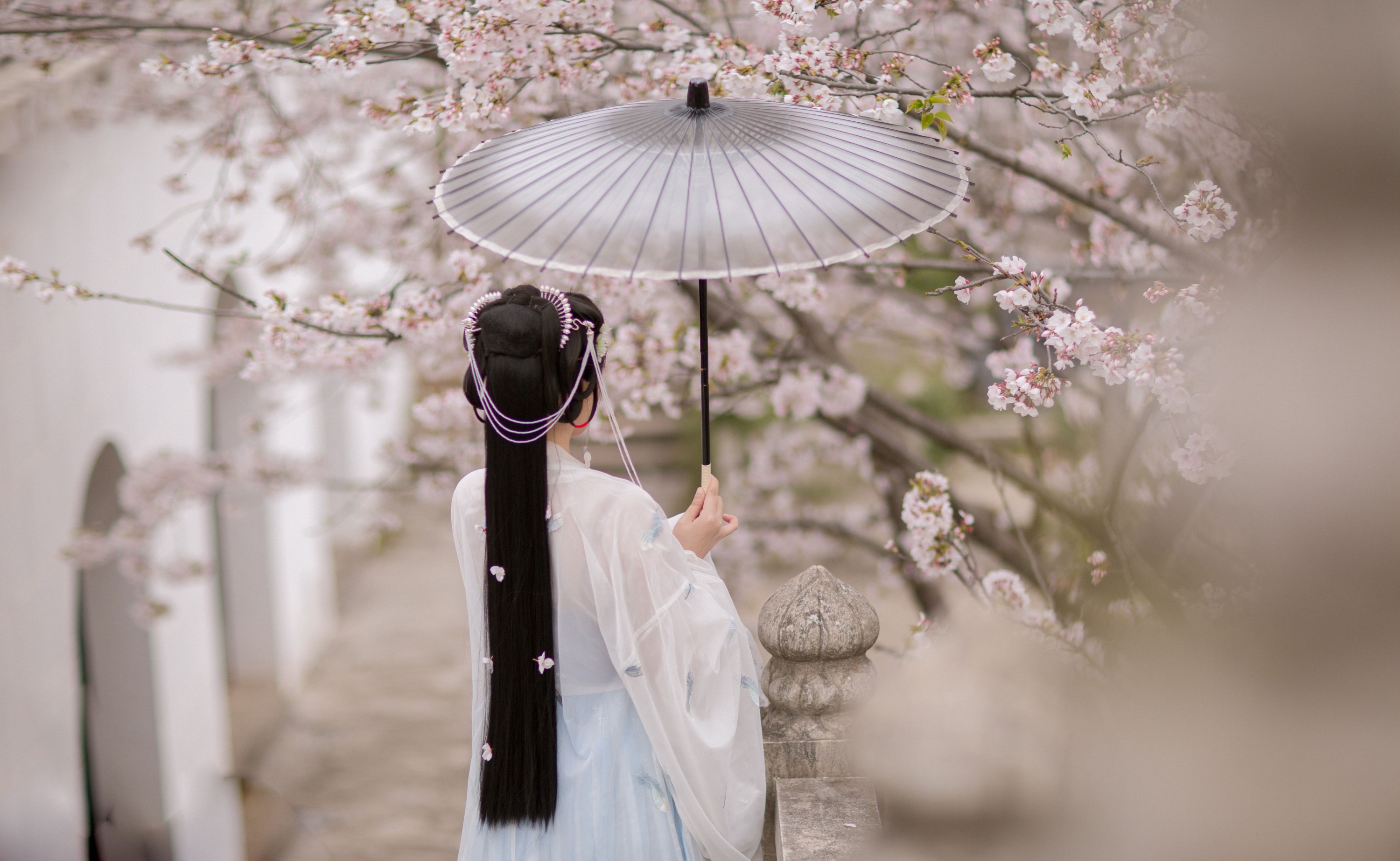 图片[5]-只喝奶盖 – 《樱》[21P]-COS写真在线网
