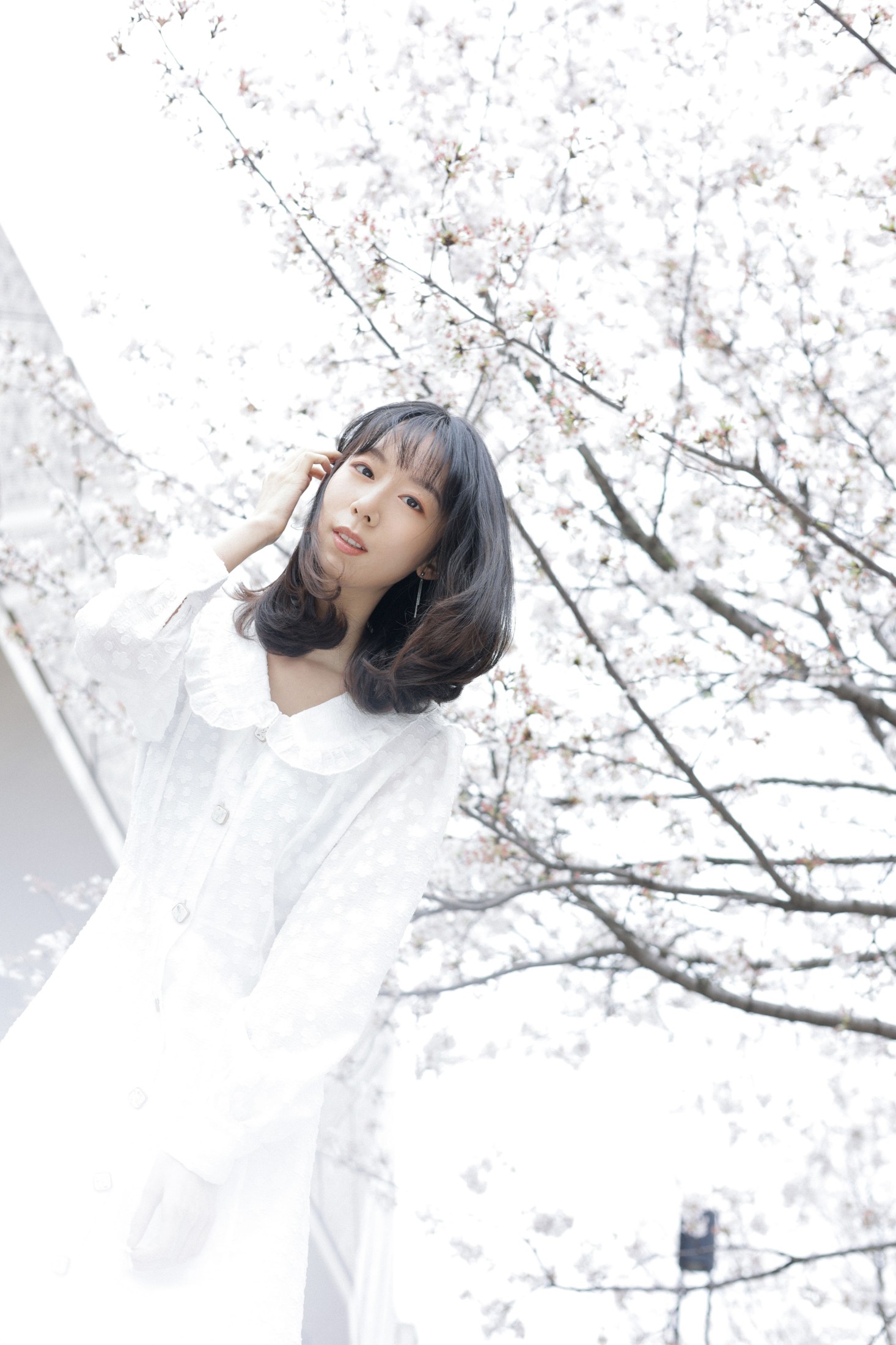 图片[3]-孟商一 – 《白色花语》[26P]-COS写真在线网