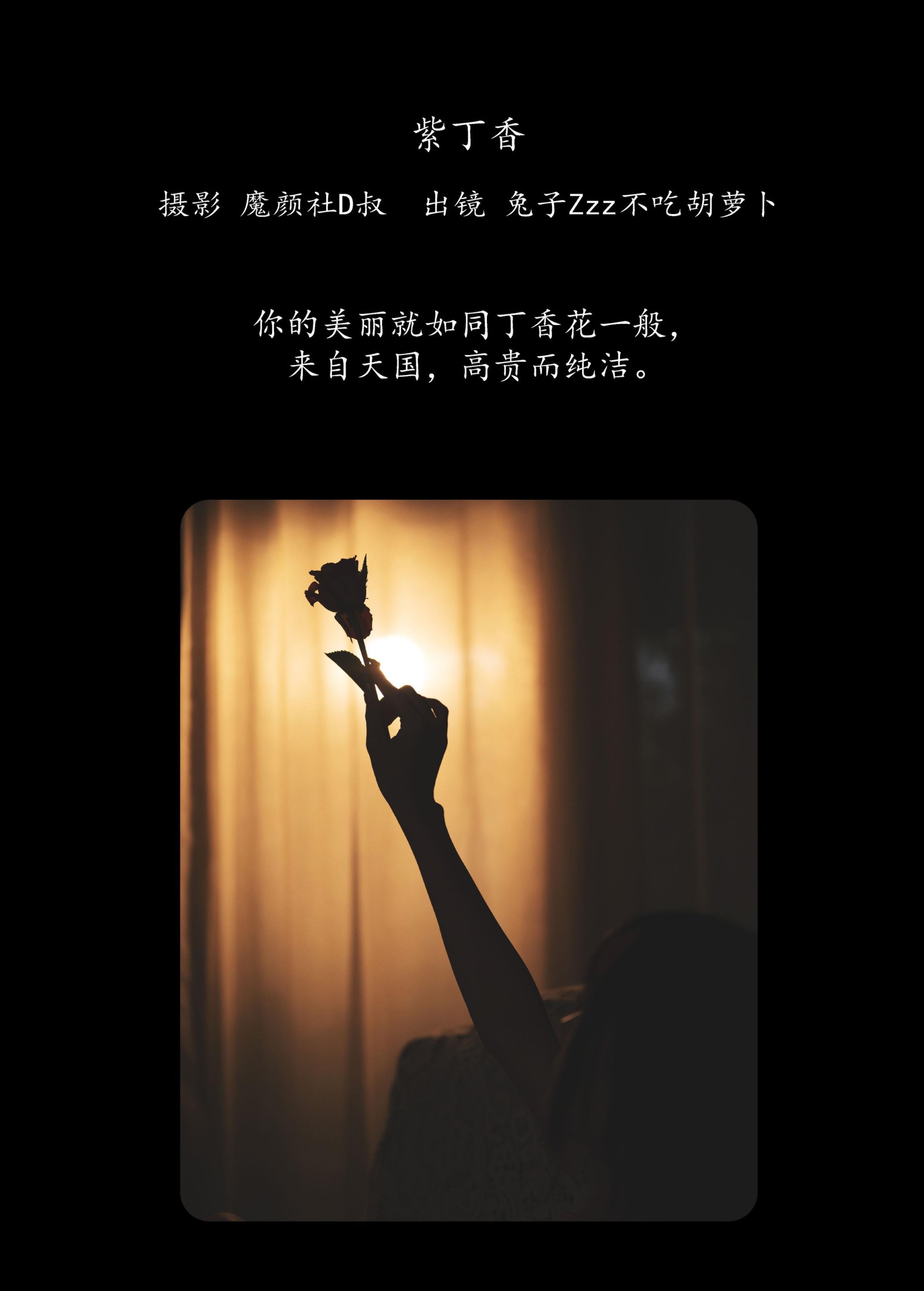 图片[2]-兔子Zzz不吃胡萝卜 – 《紫丁香》[41P]-COS写真在线网