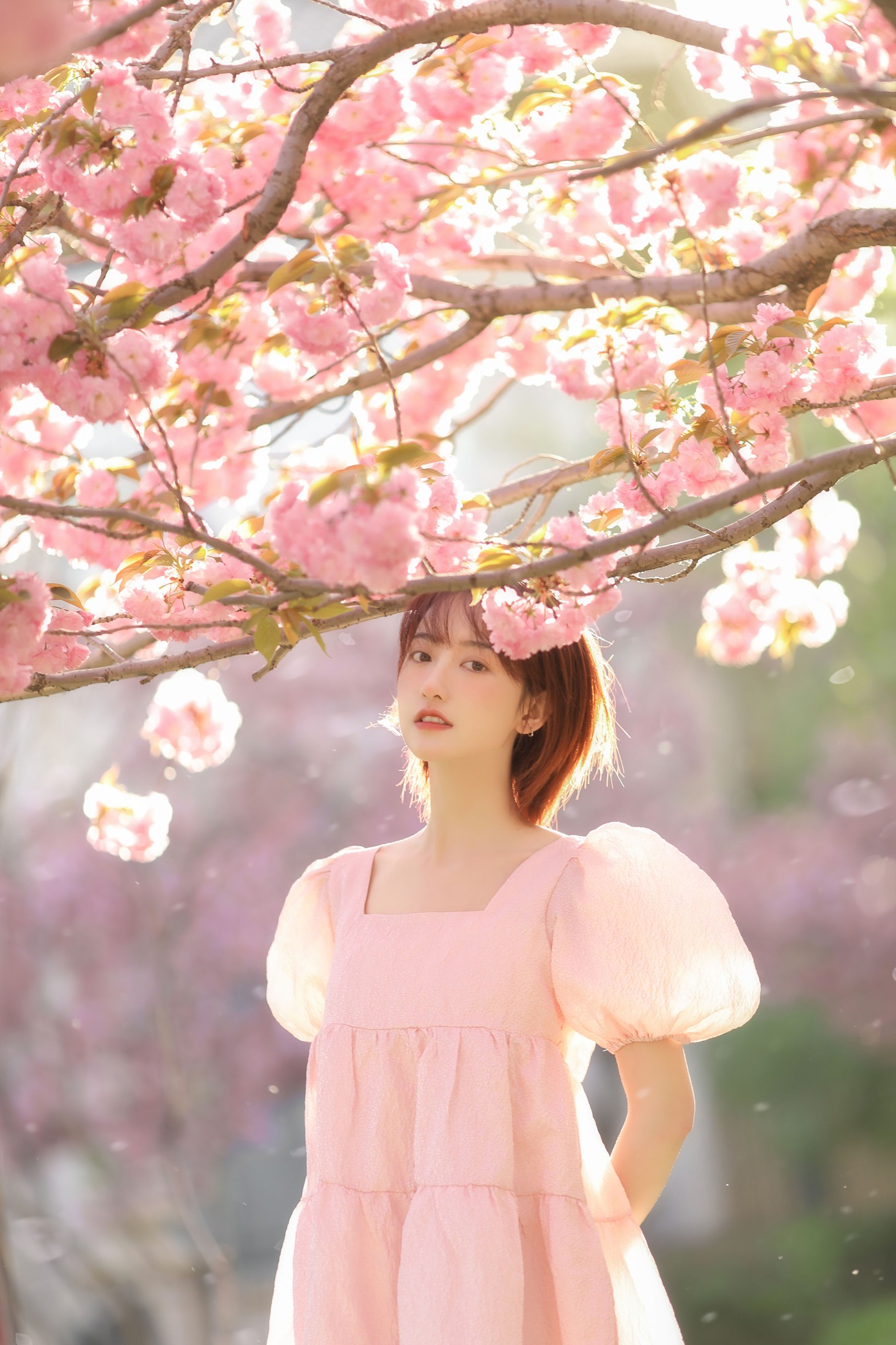 图片[3]-程凡 – 《樱落》[21P]-COS写真在线网