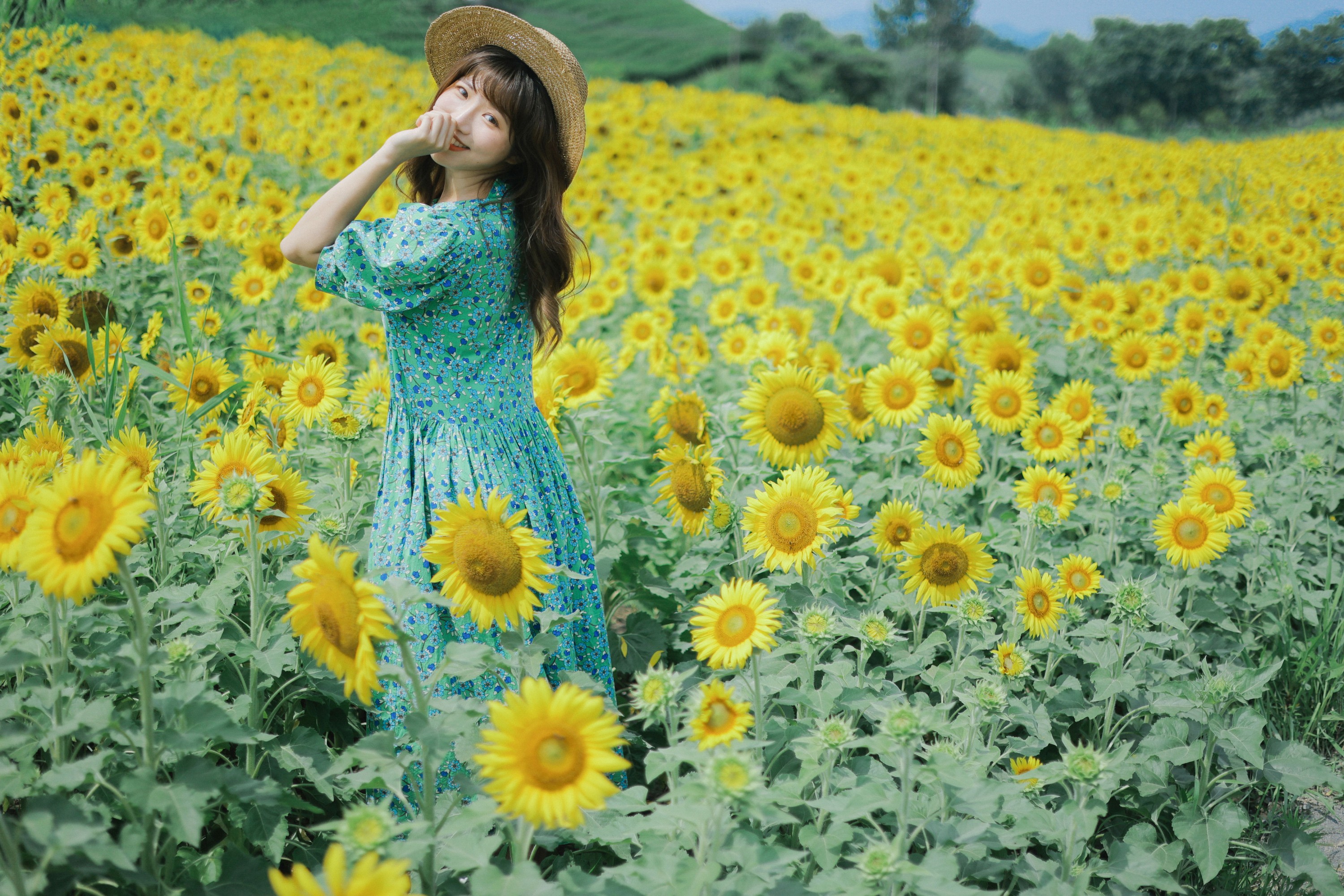 图片[3]-蓝胖子 – 《向日葵的夏日》[33P]-COS写真在线网