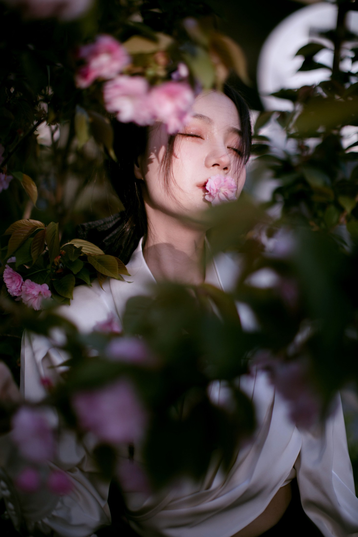图片[5]-夏芸是只小考拉 – 《花宴》[22P]-COS写真在线网