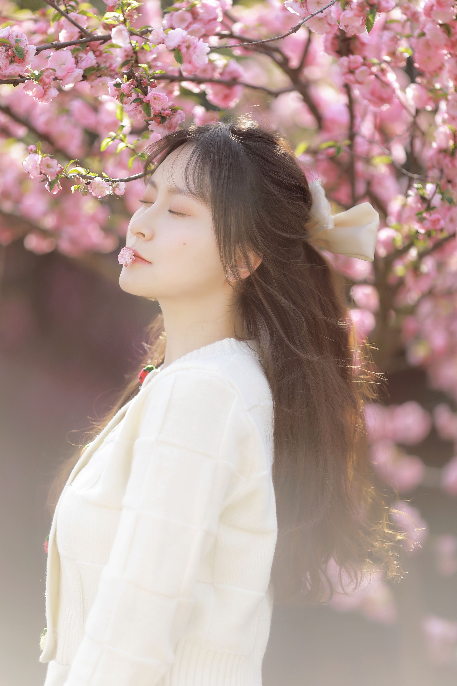 图片[5]-嘉嘉 – 《初樱》[20P]-COS写真在线网