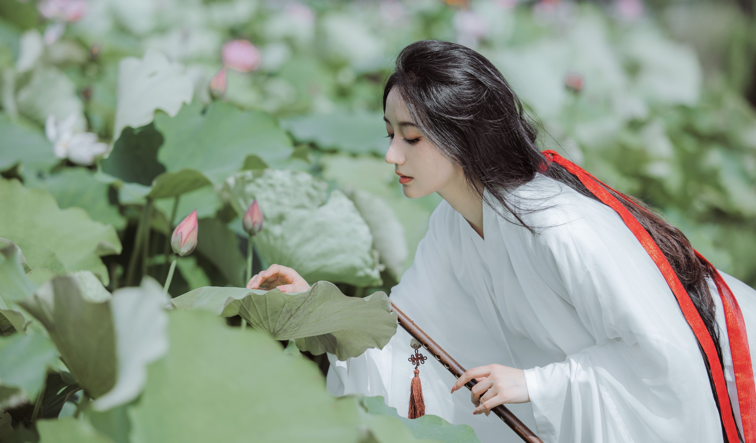 图片[5]-柒苡安 – 《荷花》[23P]-COS写真在线网