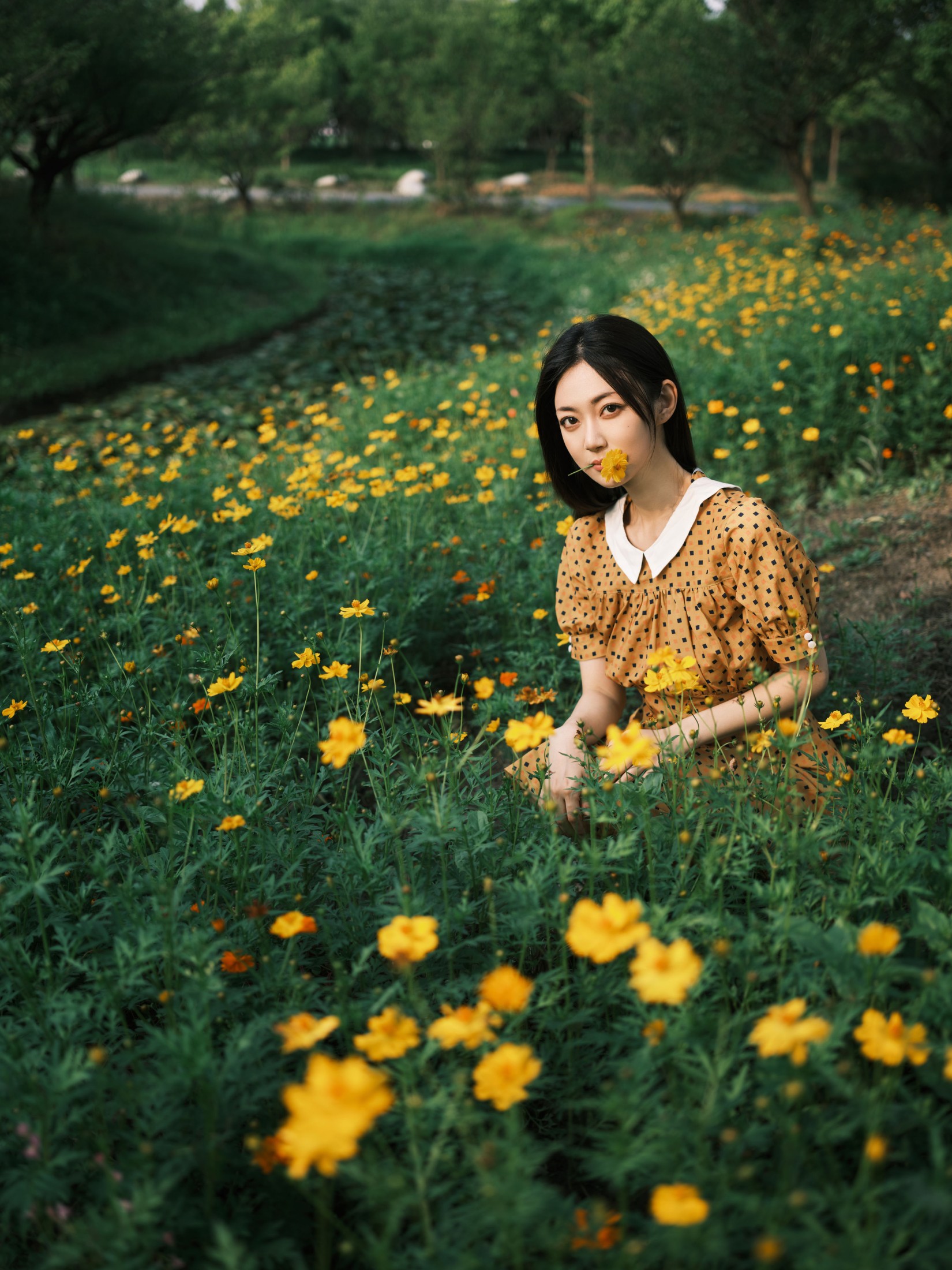 图片[5]-飞鸟咕咕- – 《硫华菊&柳叶马鞭草-是夏天的味道呀！》[44P]-COS写真在线网