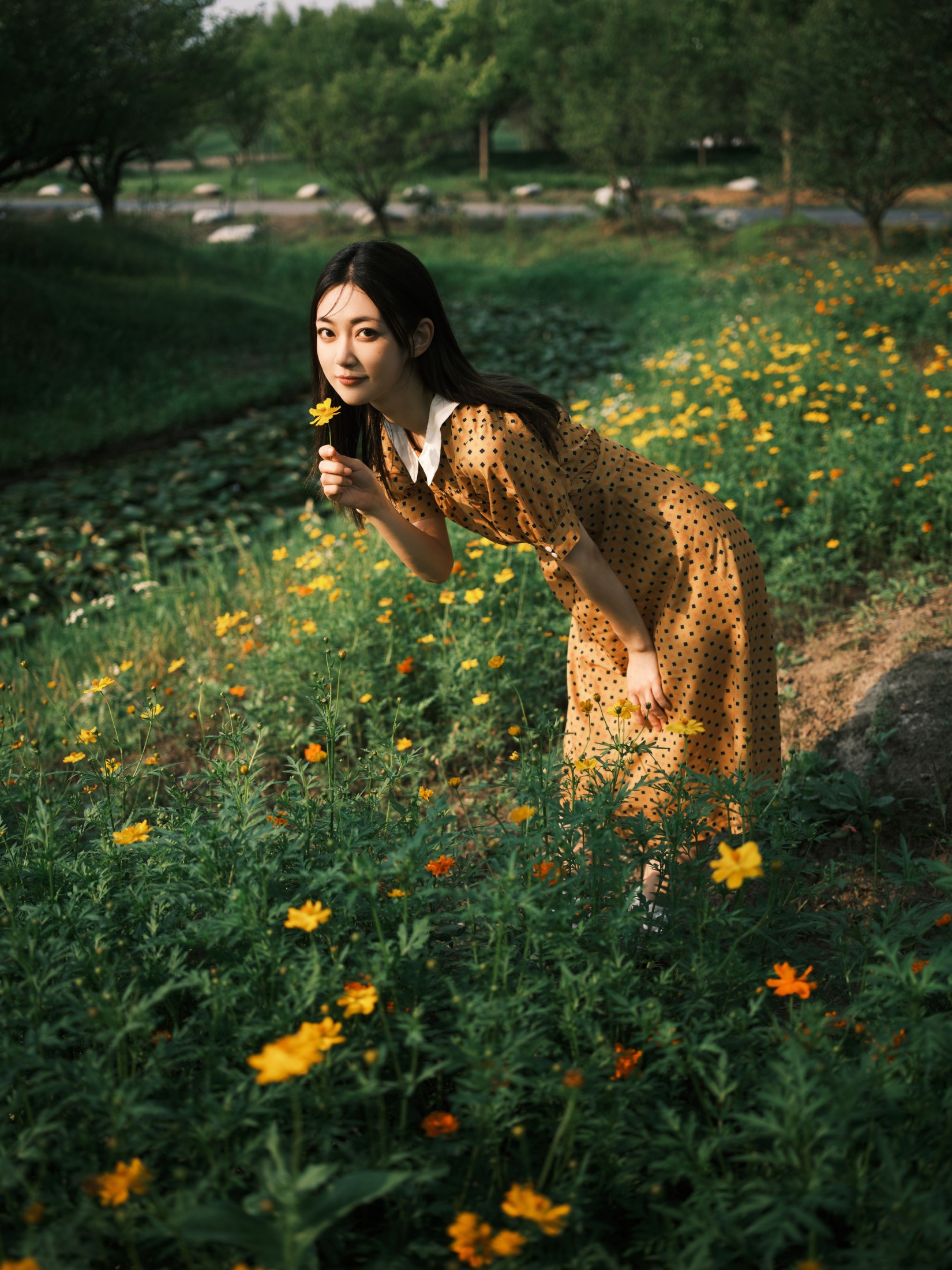 图片[3]-飞鸟咕咕- – 《硫华菊&柳叶马鞭草-是夏天的味道呀！》[44P]-COS写真在线网