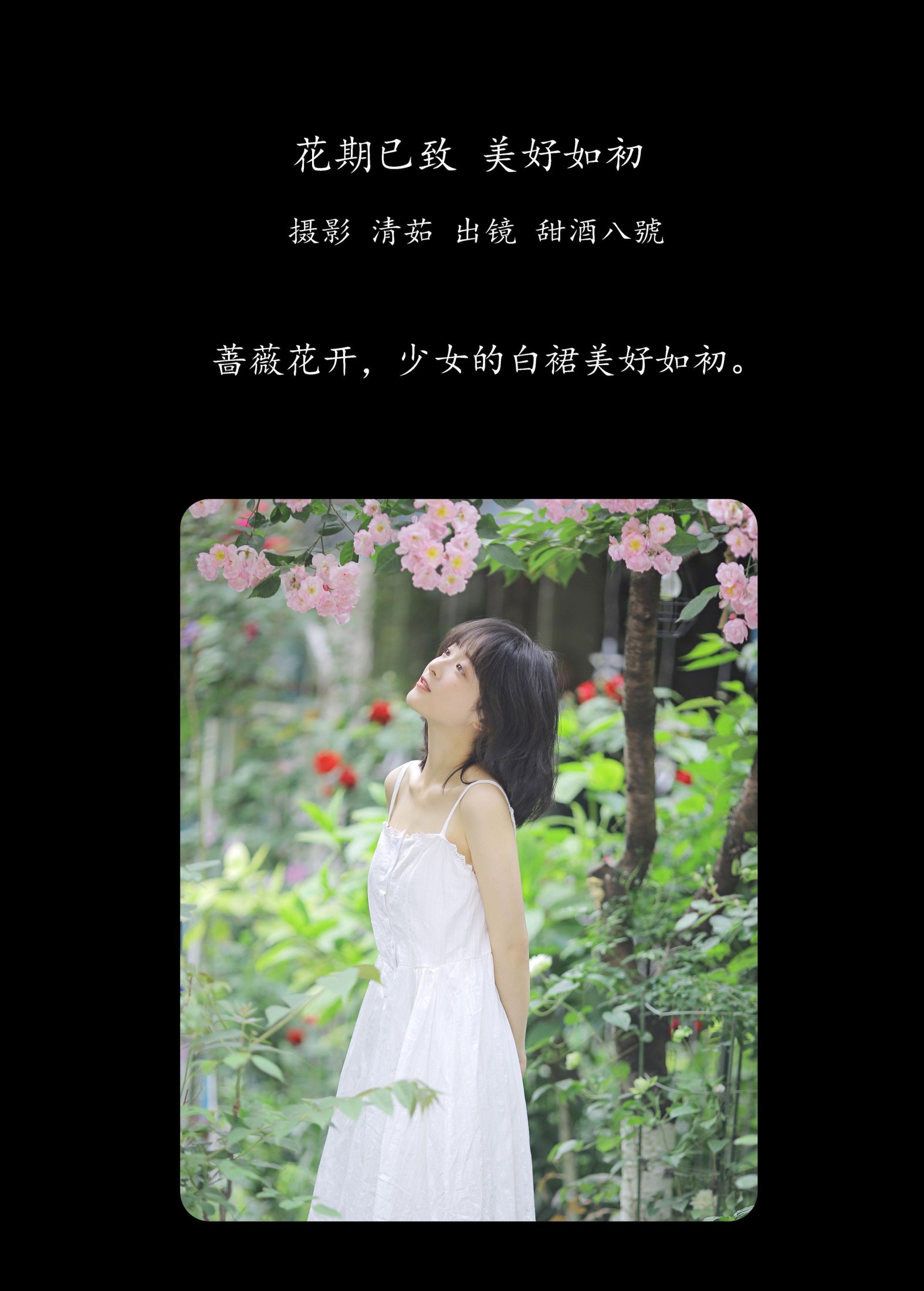 图片[2]-甜酒八號 – 《花期已致 美好如初》[30P]-COS写真在线网