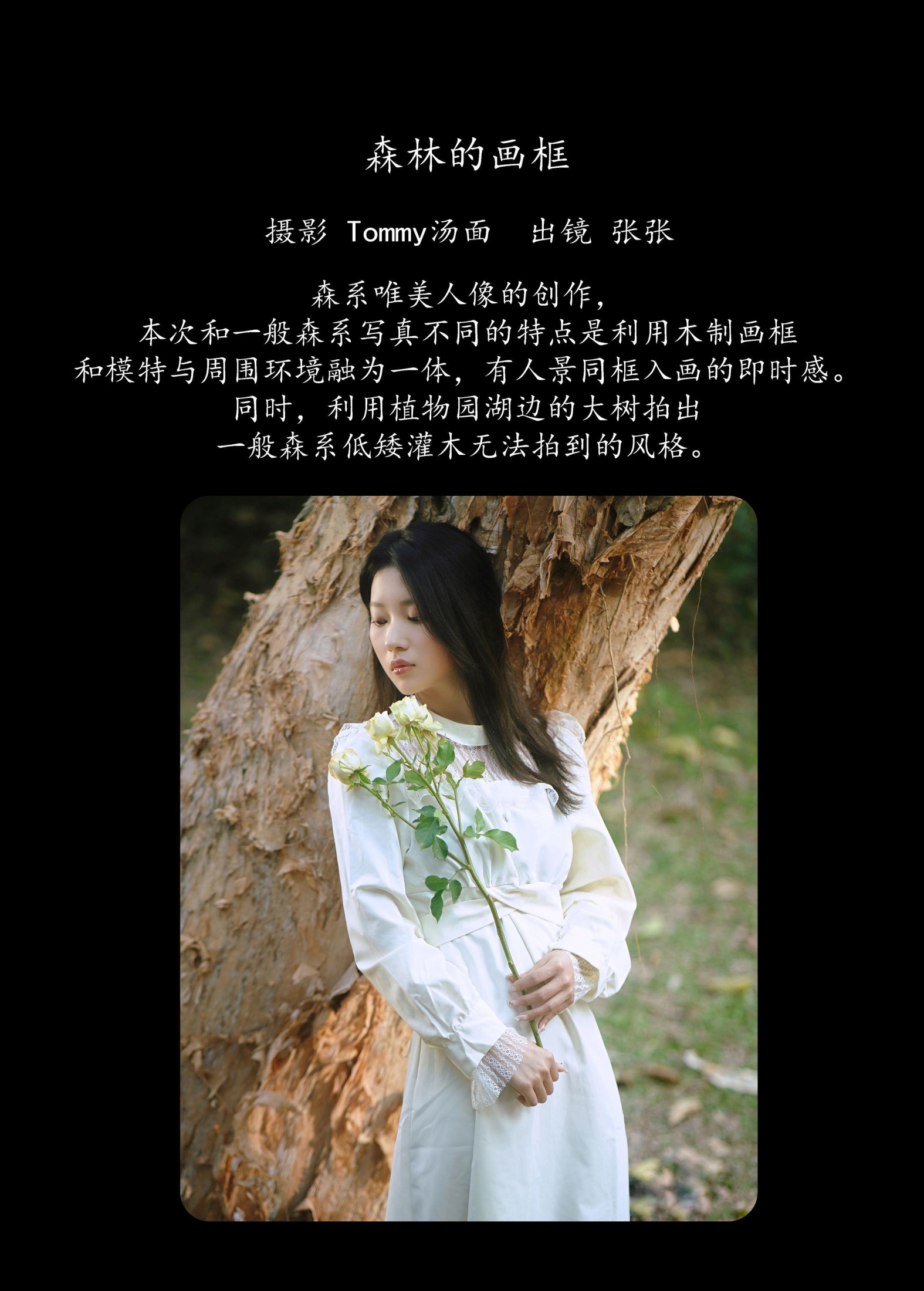图片[2]-张张 – 《森林的画框》[29P]-COS写真在线网