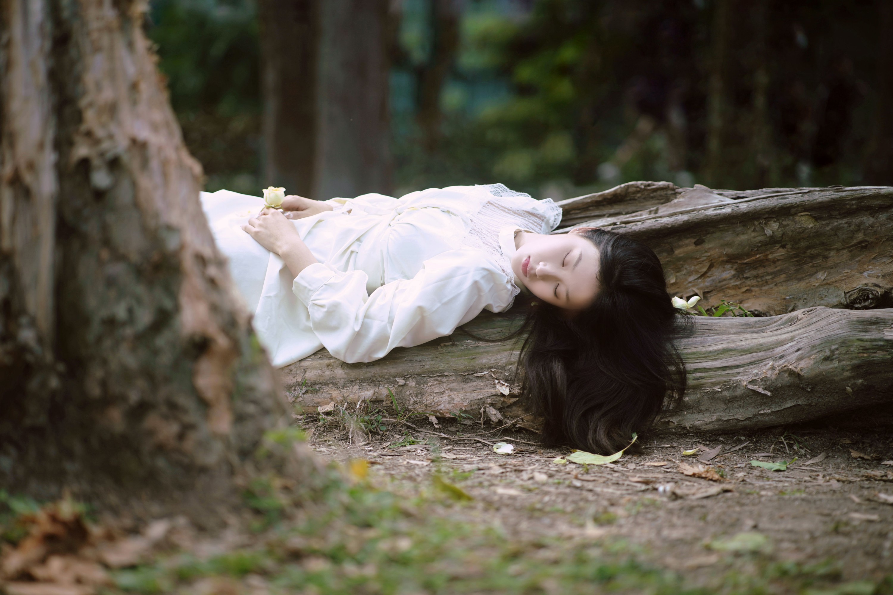 图片[3]-张张 – 《森林的画框》[29P]-COS写真在线网