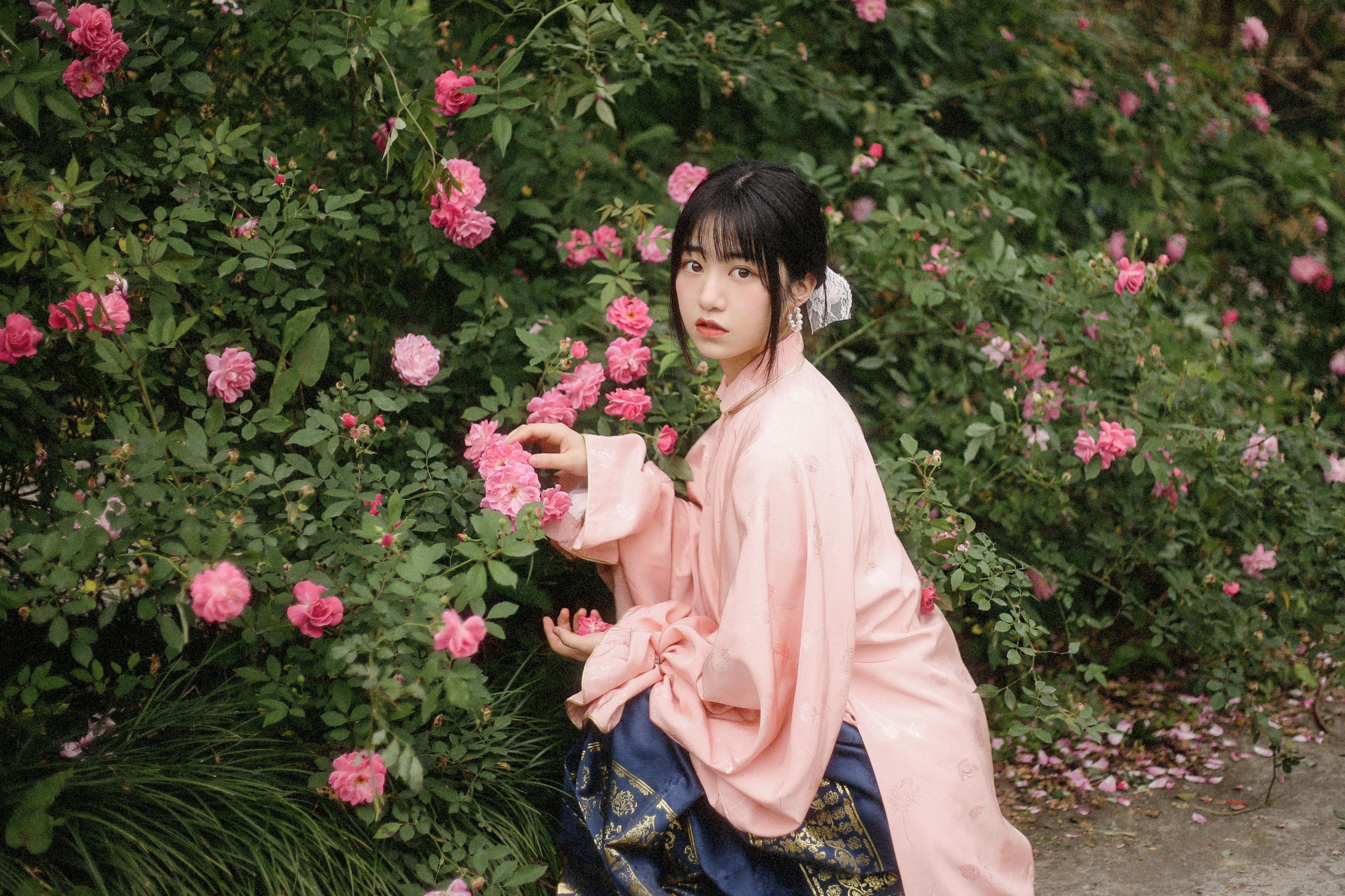 图片[4]-panniling – 《蔷薇花开》[30P]-COS写真在线网