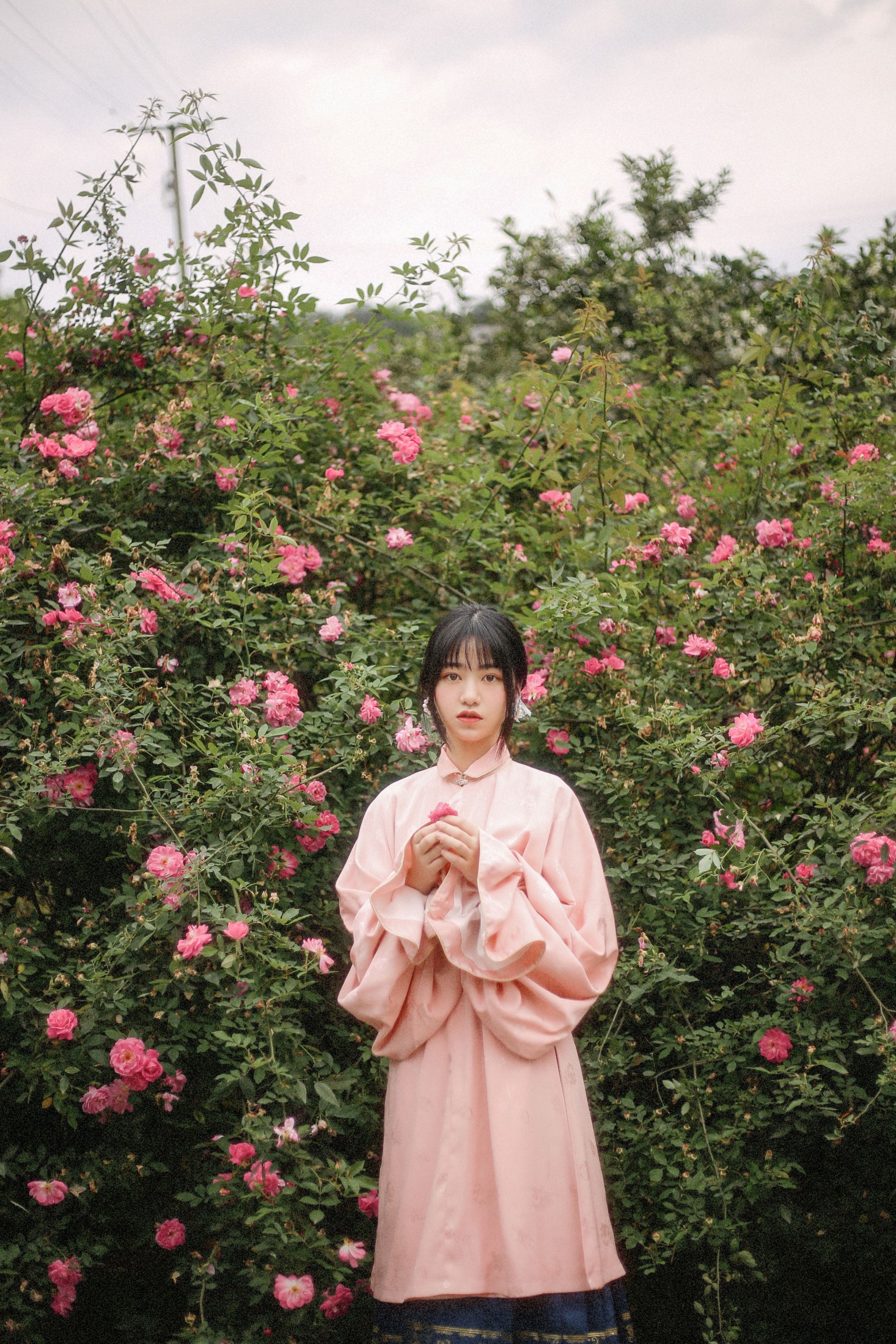 图片[5]-panniling – 《蔷薇花开》[30P]-COS写真在线网