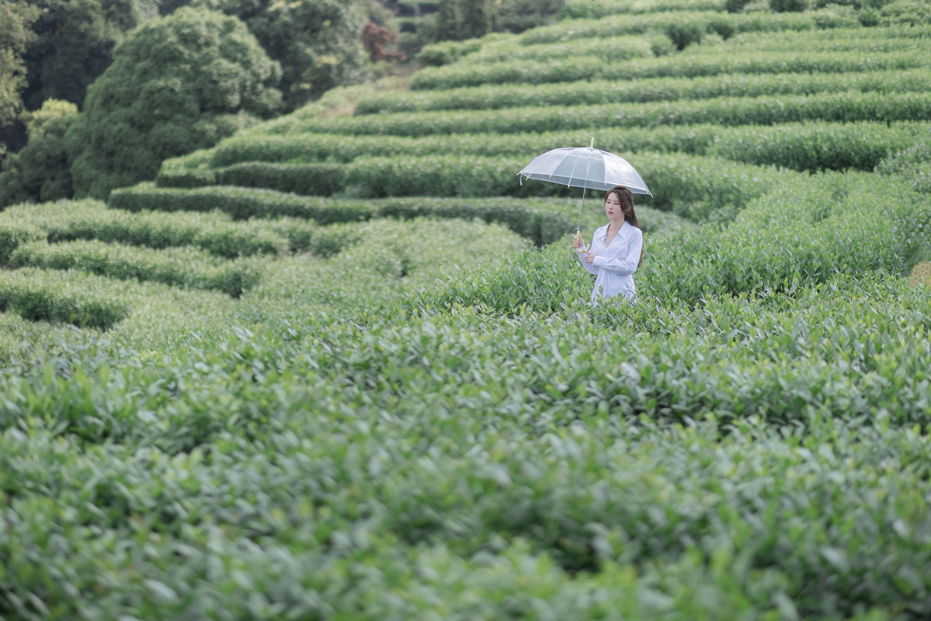 图片[3]-小美 – 《茶岚》[32P]-COS写真在线网