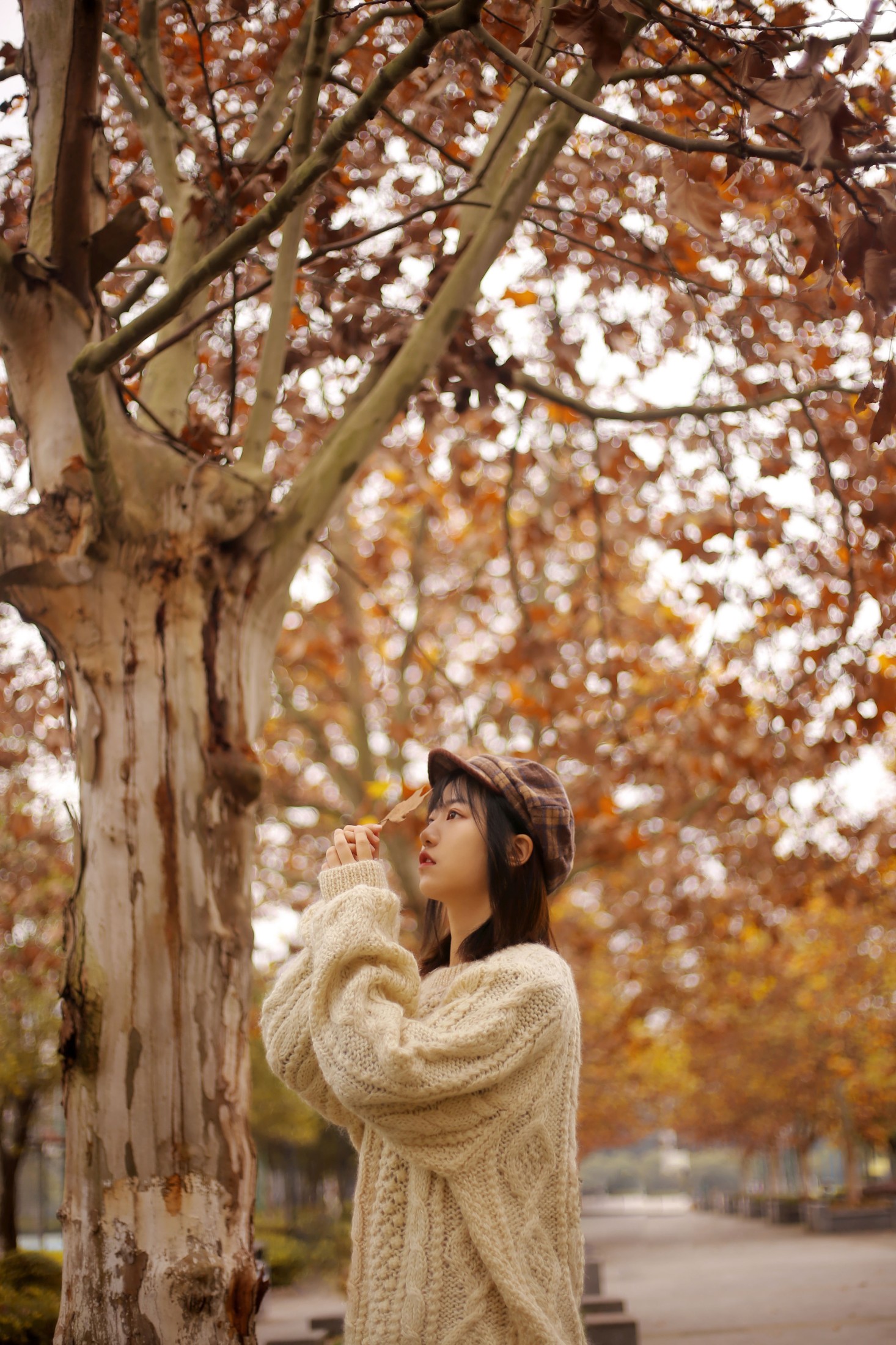 图片[3]-panniling – 《枫叶》[30P]-COS写真在线网