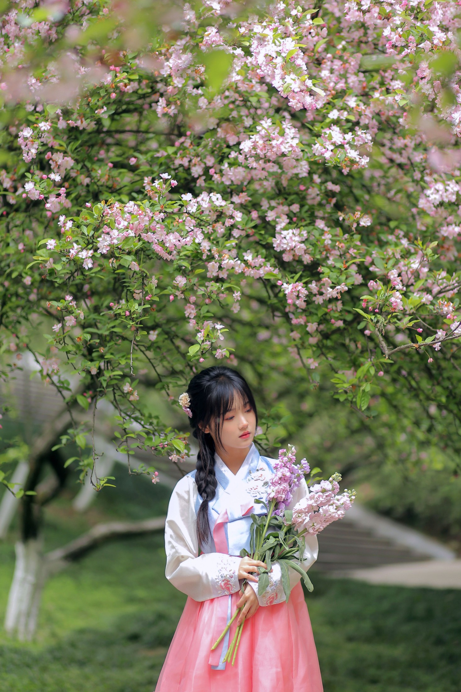 图片[3]-至春禾 – 《春日海棠》[34P]-COS写真在线网