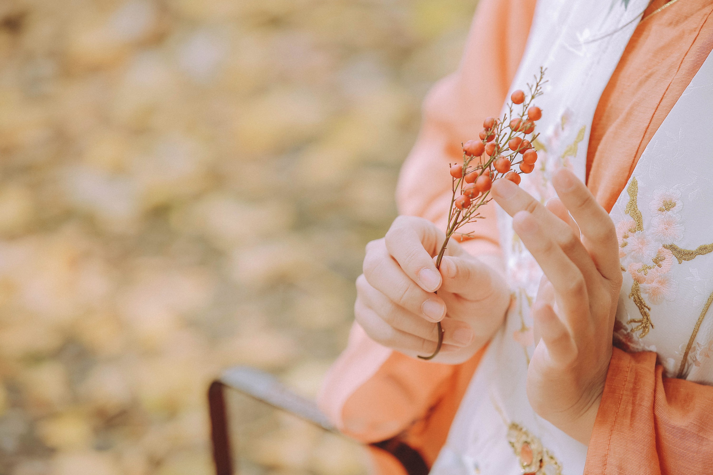 图片[5]-甲涟鱼鱼 – 《秋思》[22P]-COS写真在线网