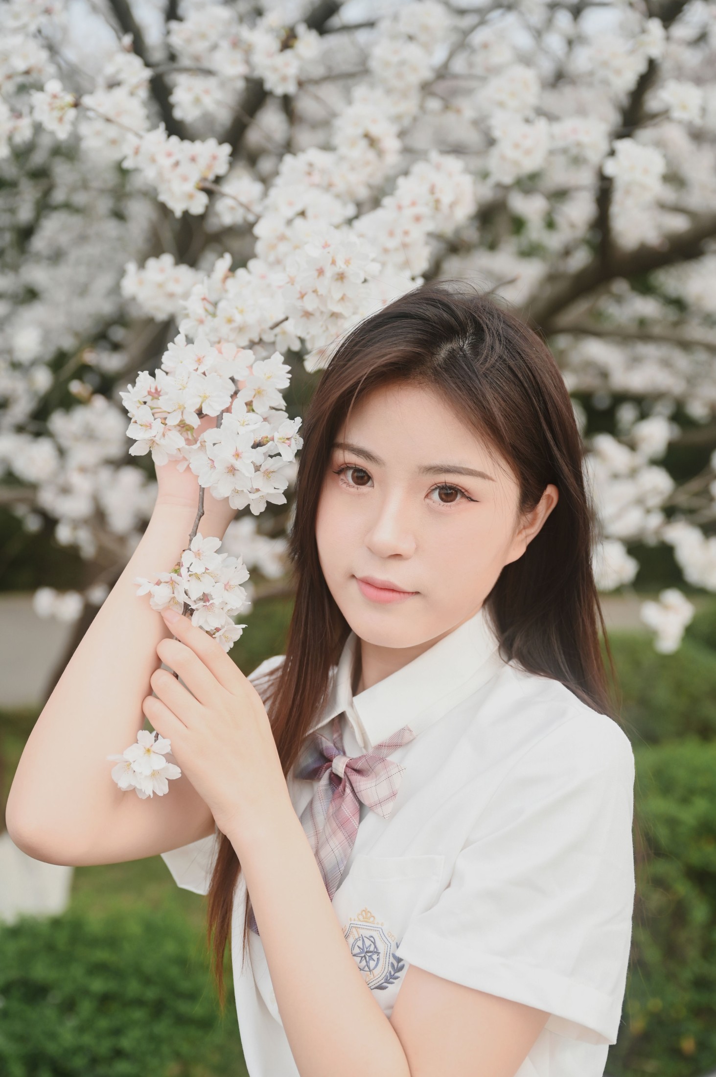 图片[5]-琪琪 – 《樱花色的天空下》[29P]-COS写真在线网