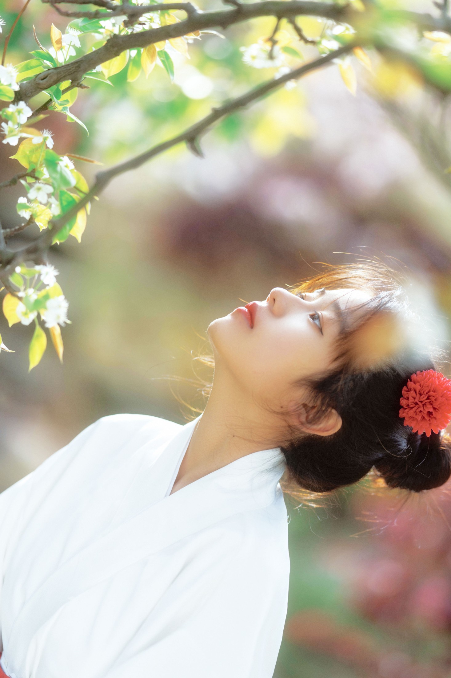 图片[5]-zzz – 《春日花》[24P]-COS写真在线网