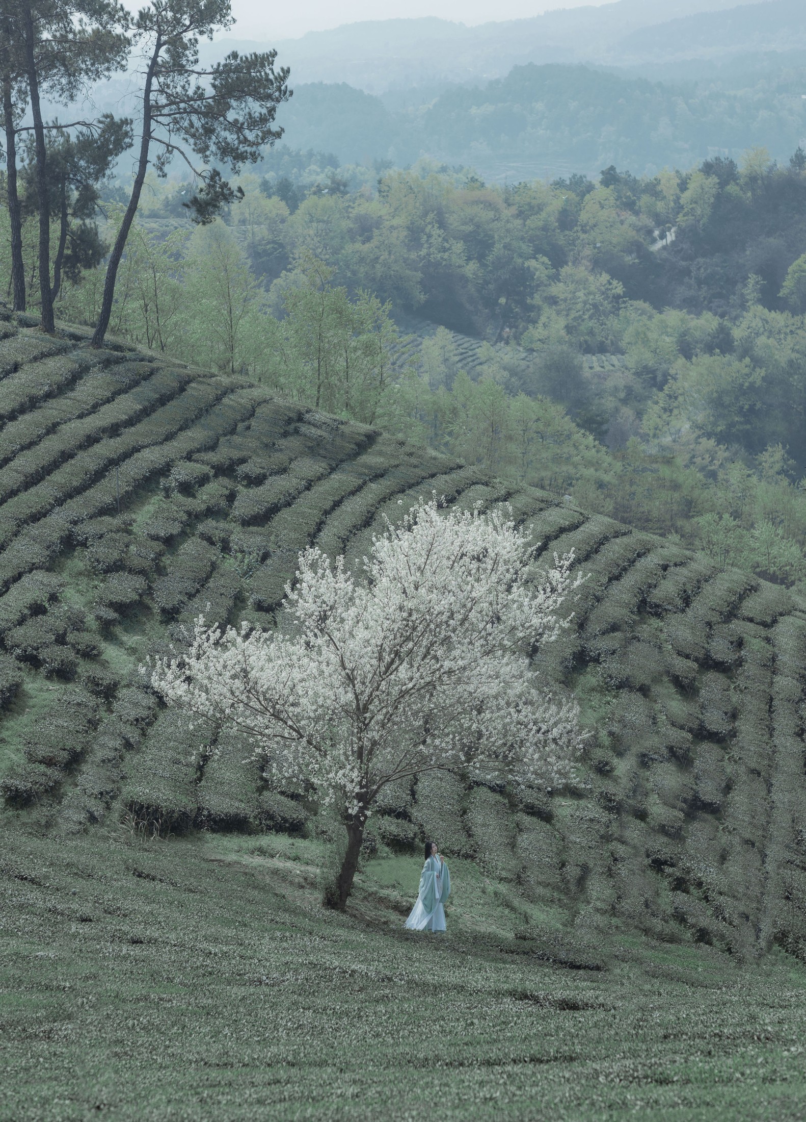 图片[3]-_Bllc – 《一梦浮生》[21P]-COS写真在线网