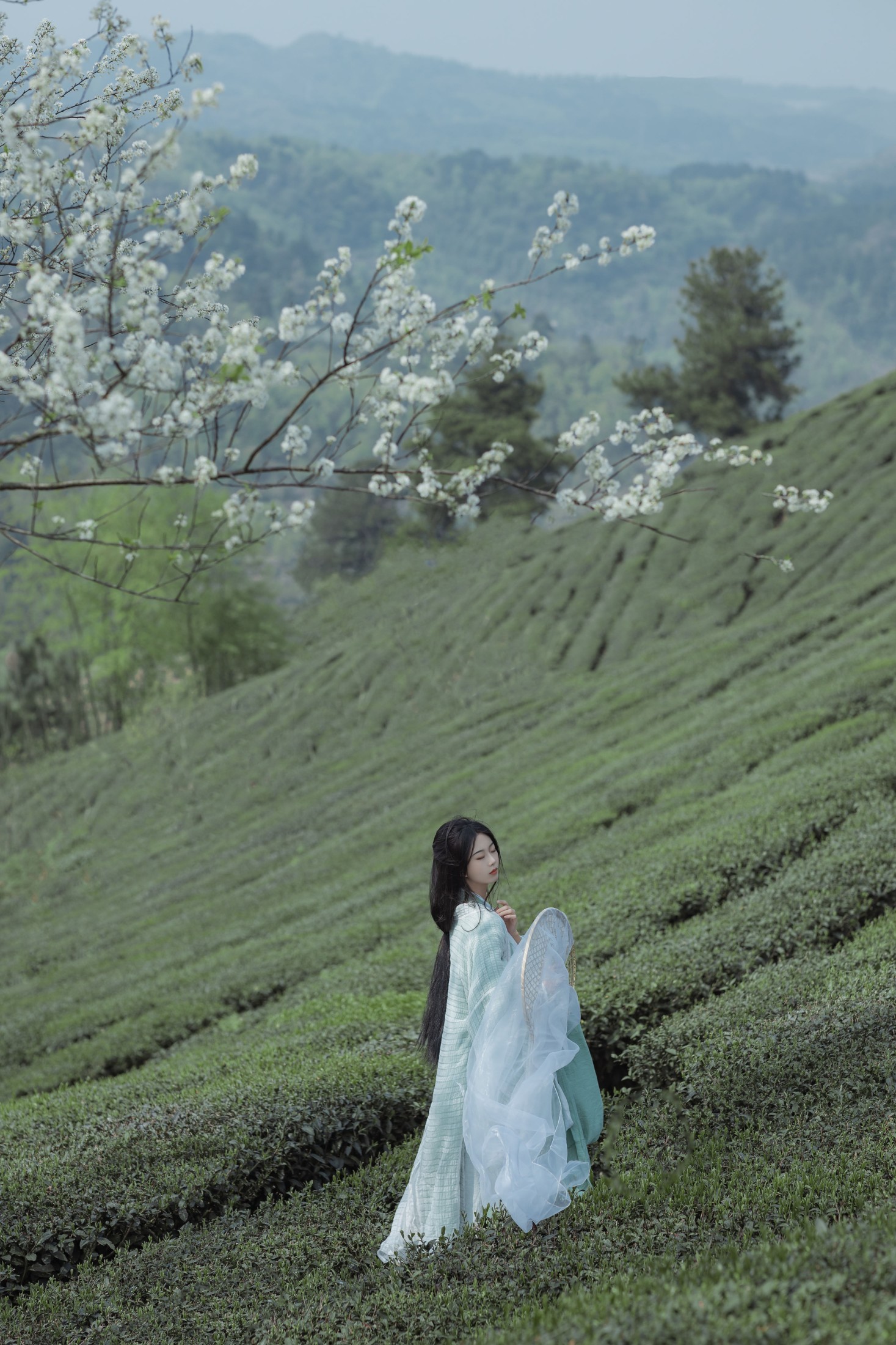 图片[5]-_Bllc – 《一梦浮生》[21P]-COS写真在线网