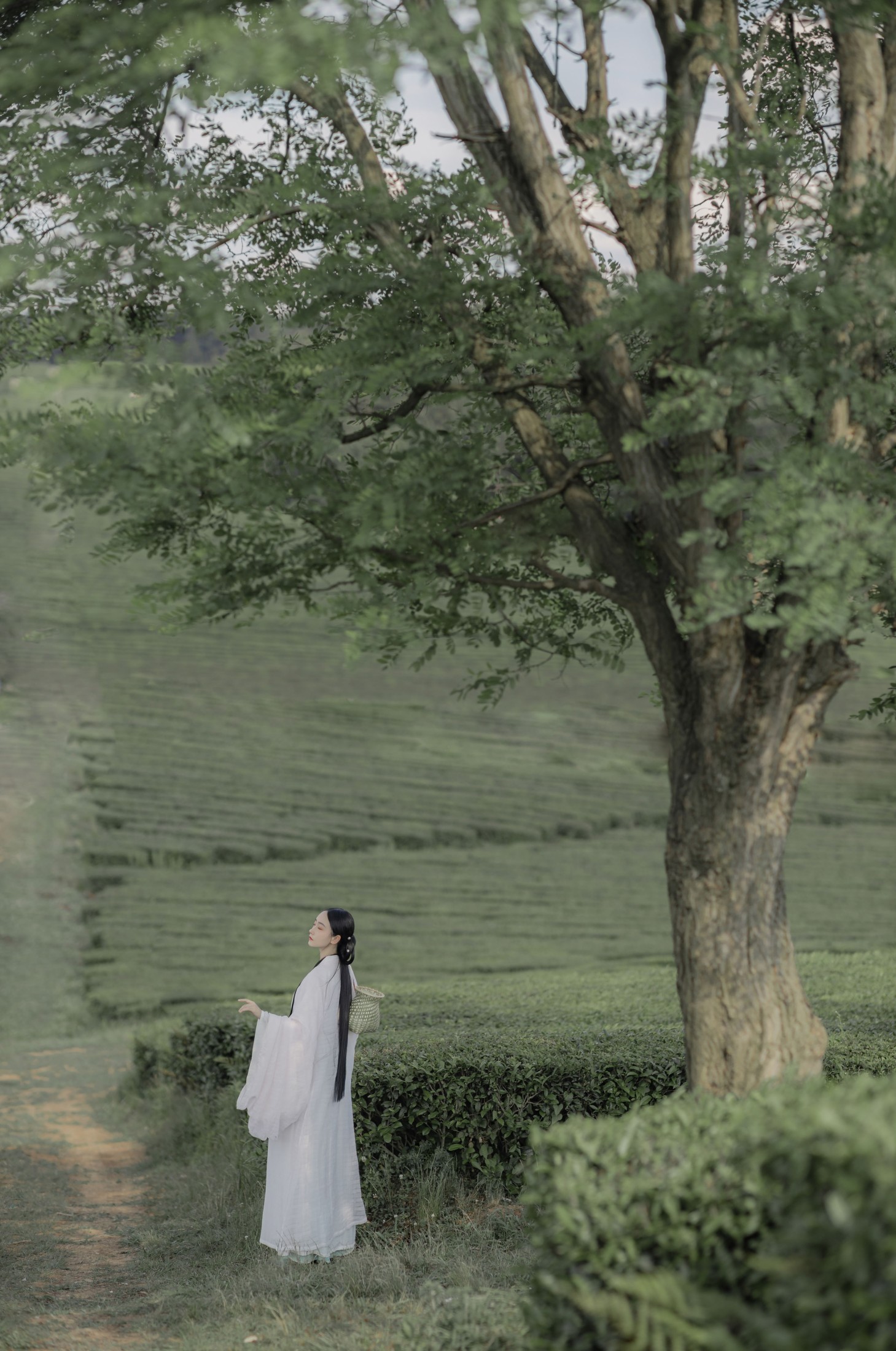 图片[4]-灿暖暖暖 – 《衣袖染茶香》[20P]-COS写真在线网