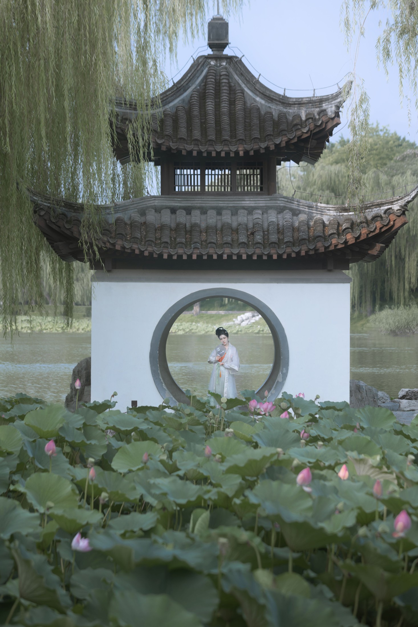 图片[3]-周曦彤 – 《陶然荷韵》[26P]-COS写真在线网