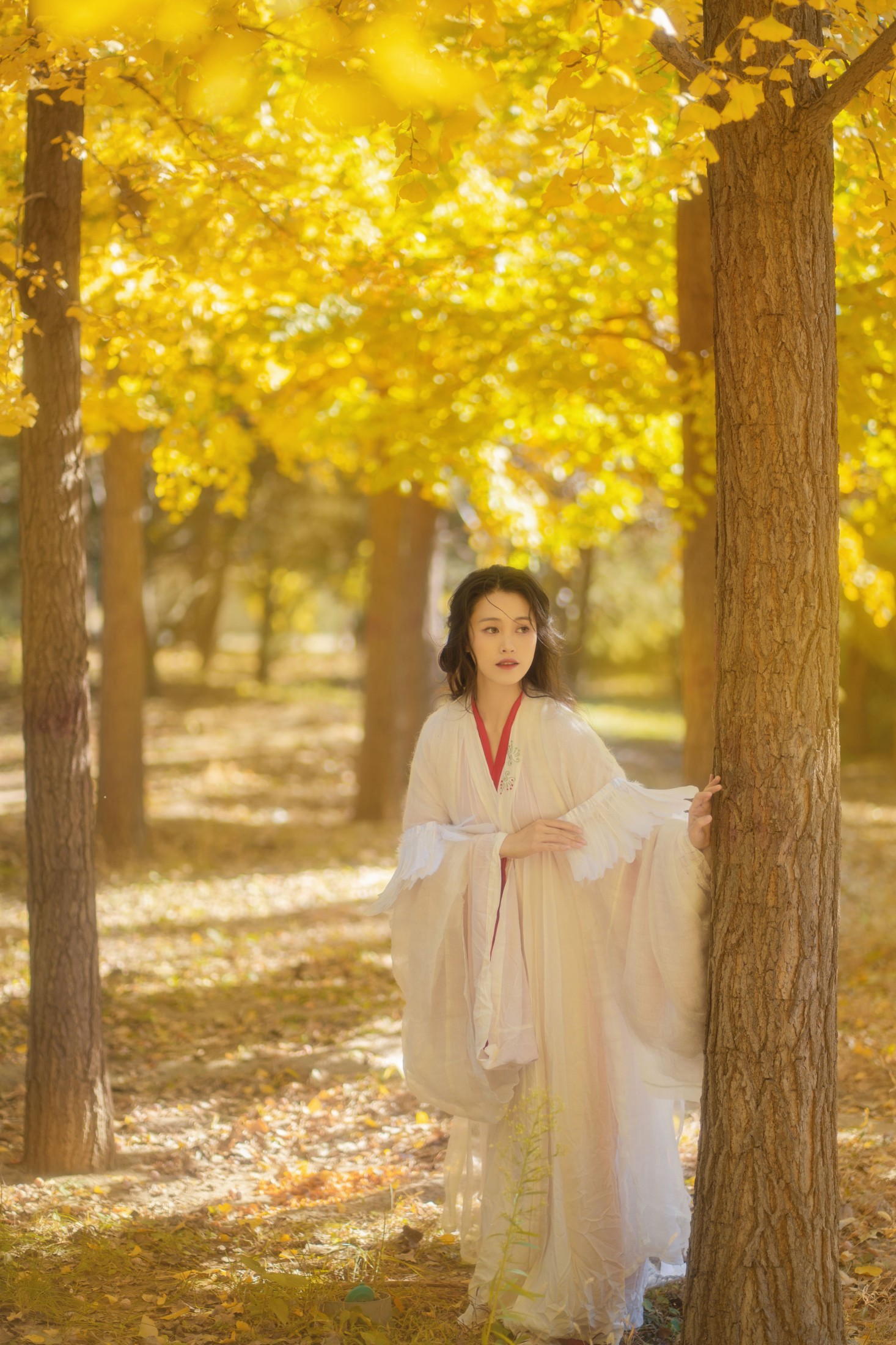 图片[4]-青霜鹅 – 《银杏》[26P]-COS写真在线网