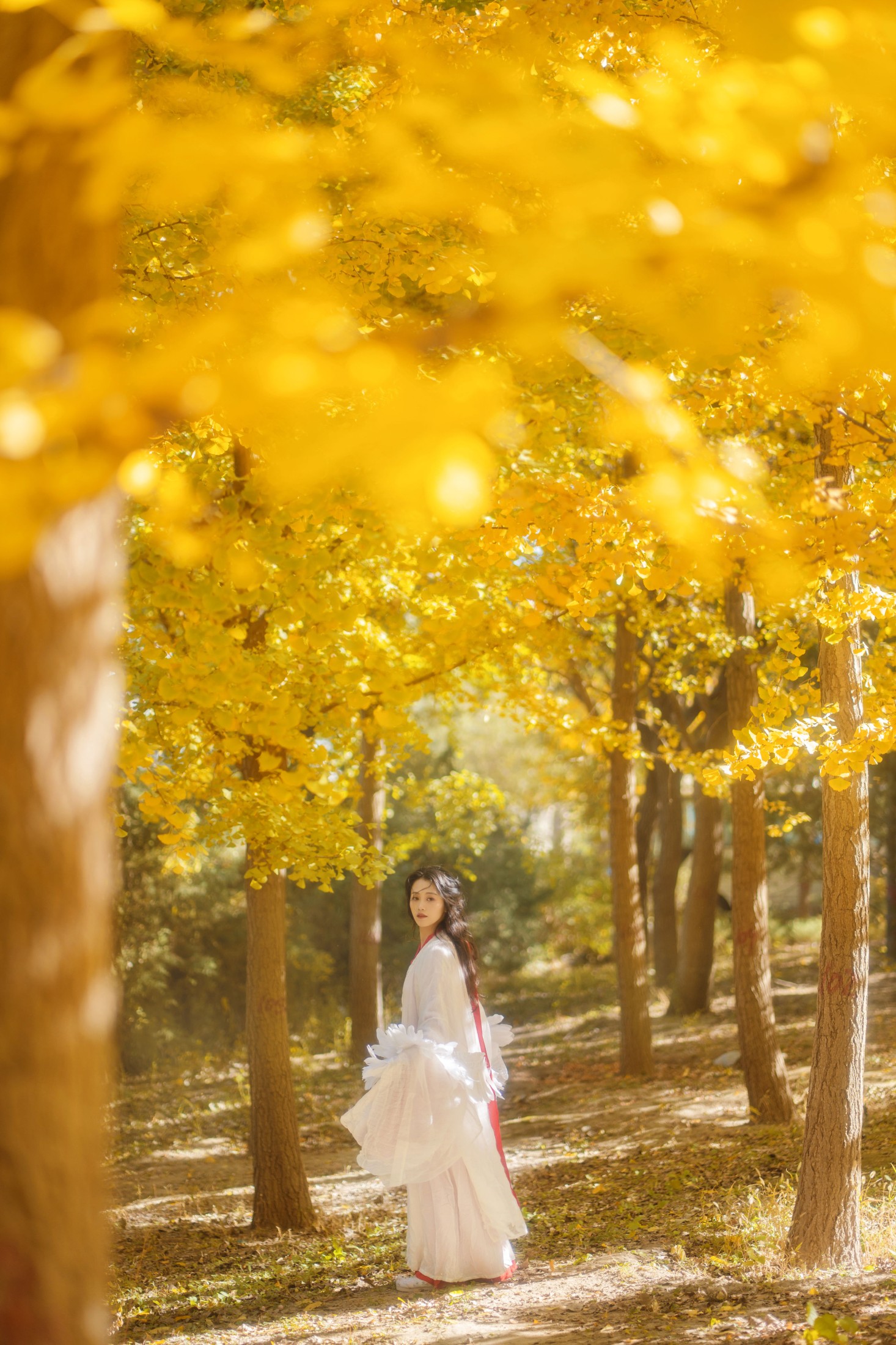 图片[3]-青霜鹅 – 《银杏》[26P]-COS写真在线网