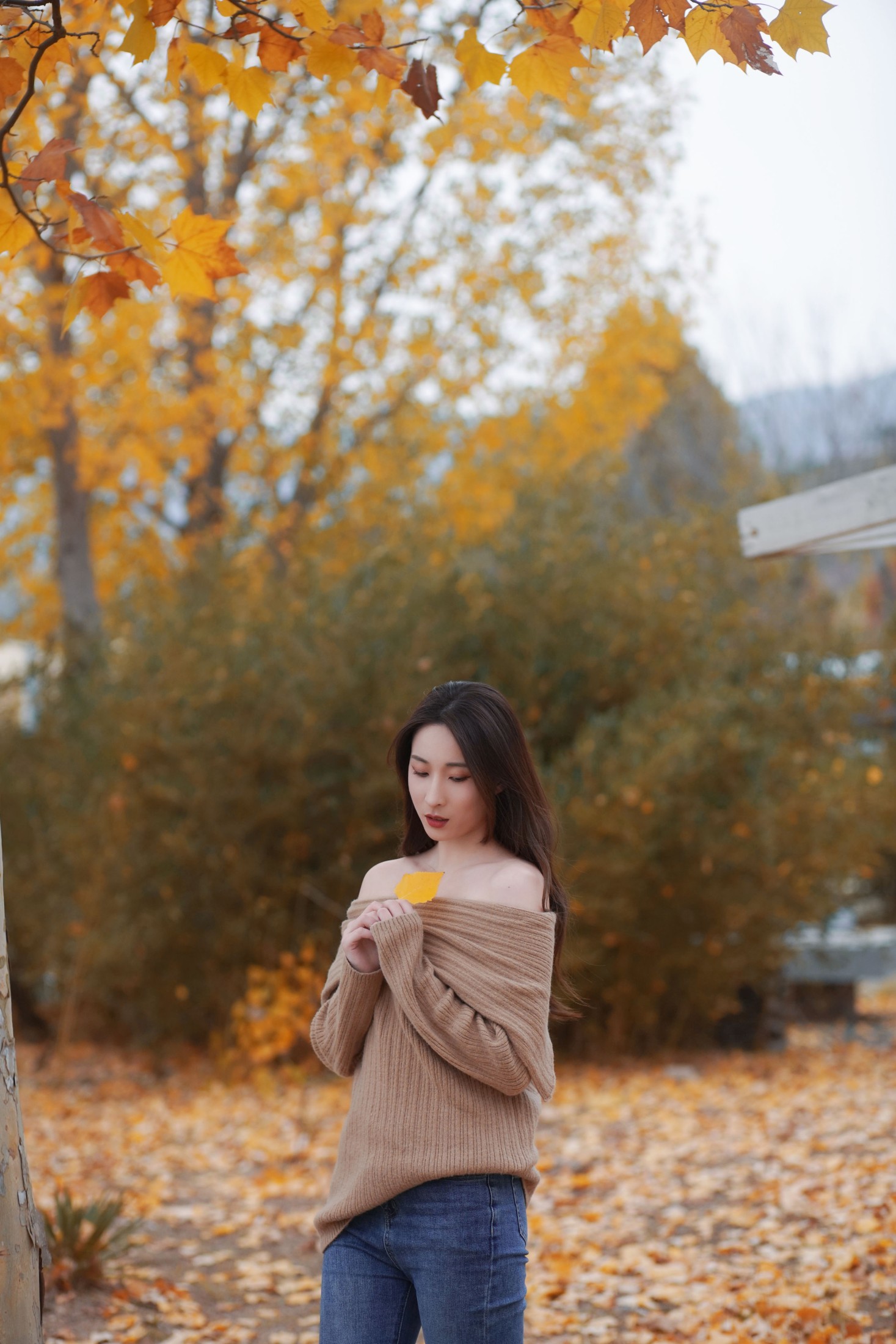 图片[6]-阿音 – 《叶落知秋》[26P]-COS写真在线网