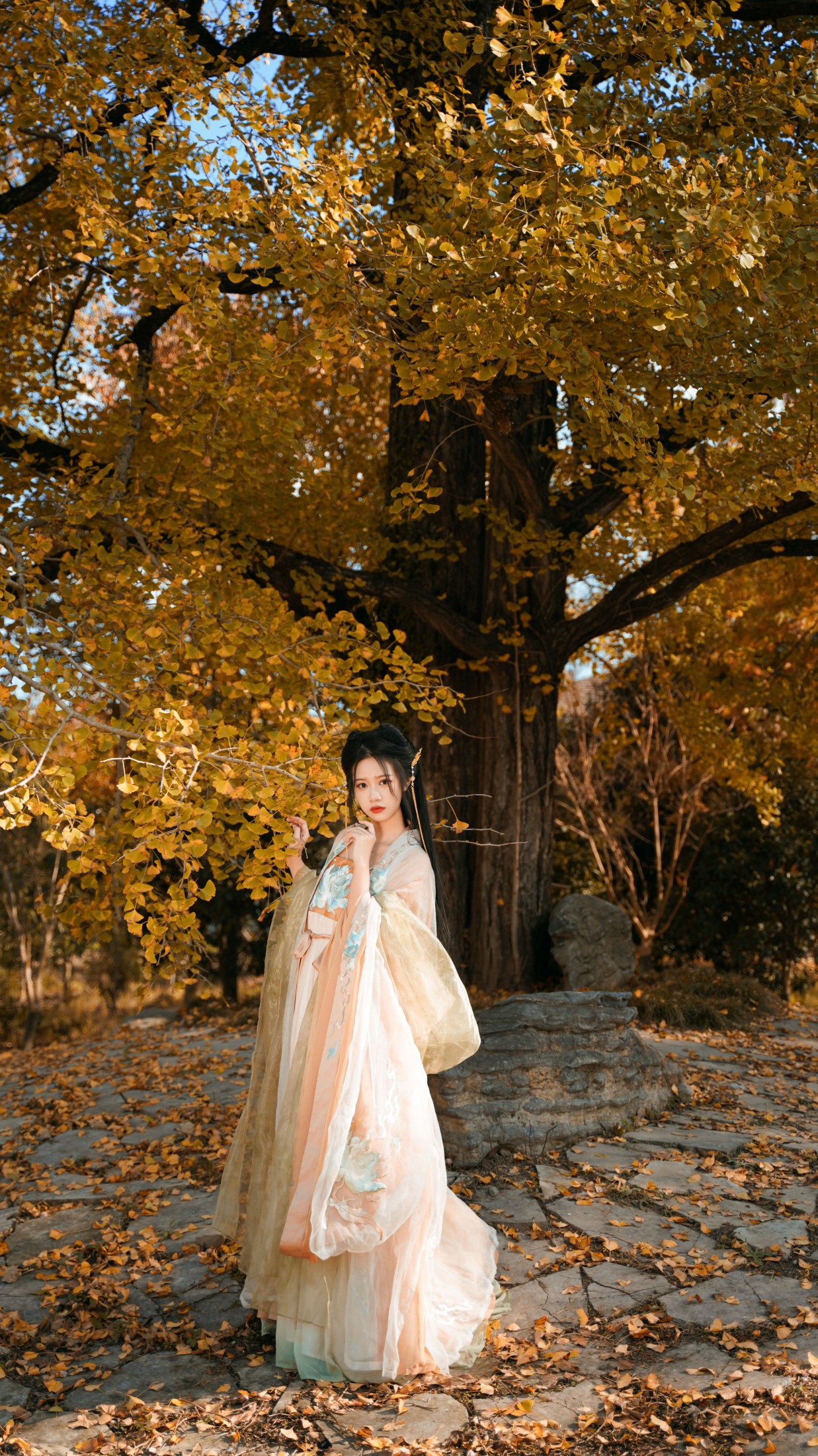 图片[4]-橙子舒 – 《银杏树下》[39P]-COS写真在线网