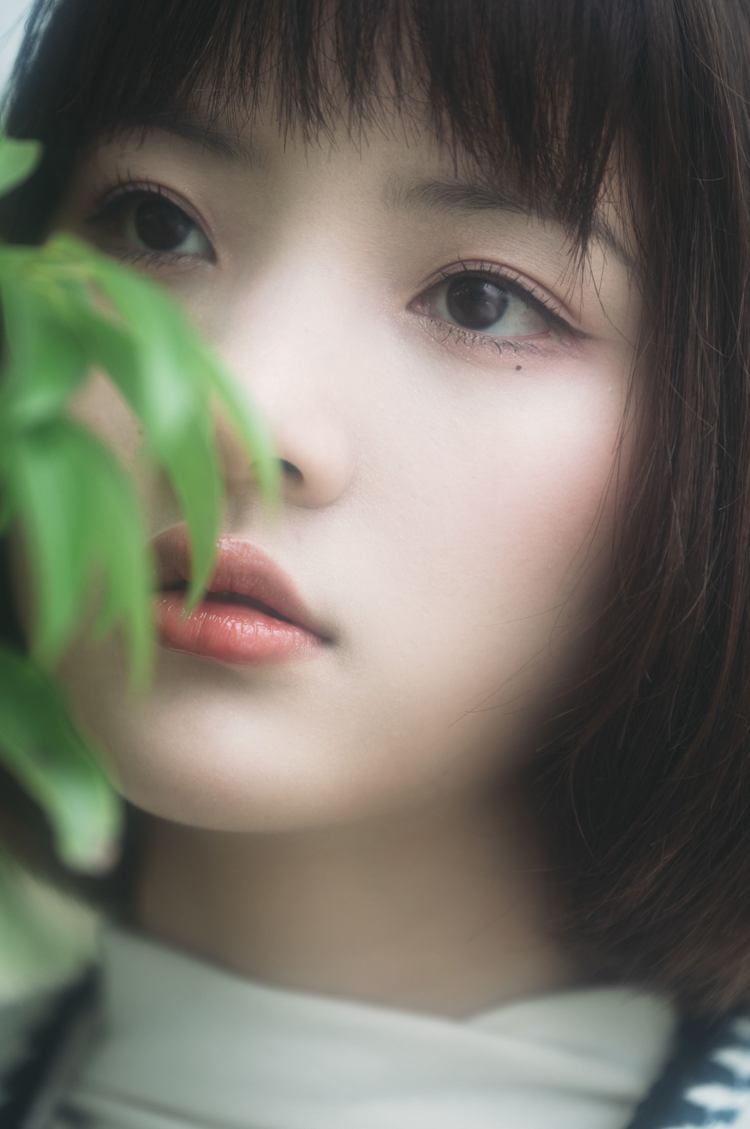 图片[4]-阿喵的饭饭 – 《美梦与诗歌》[27P]-COS写真在线网