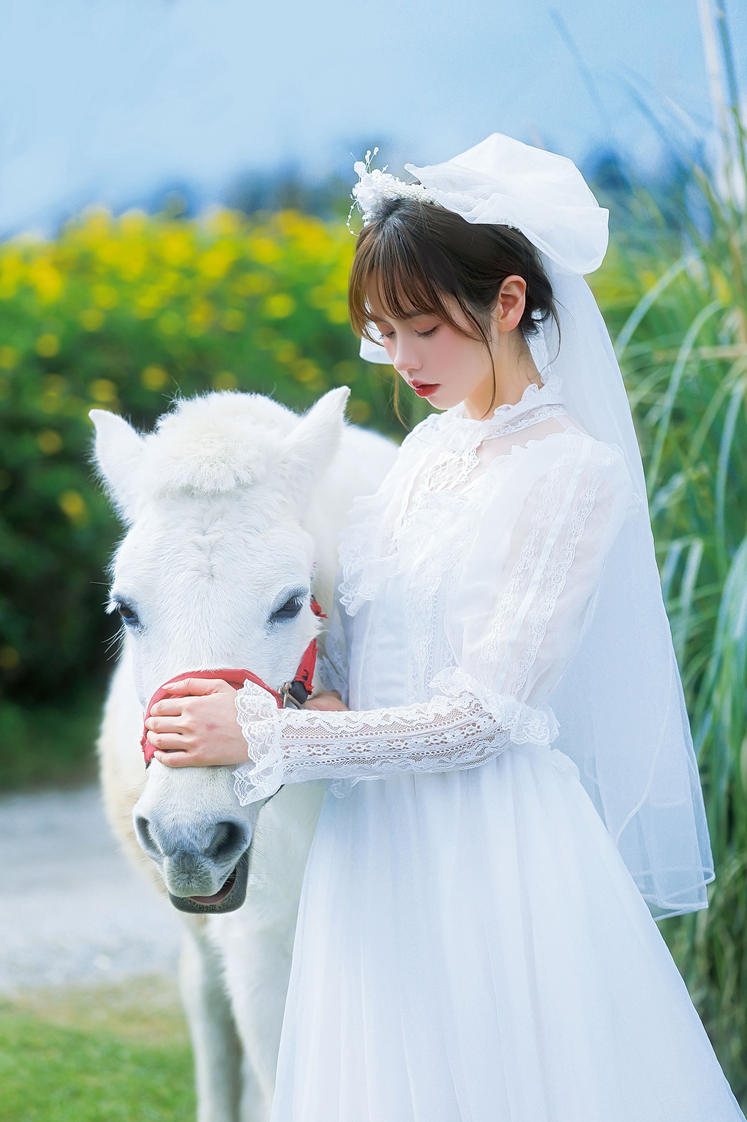 图片[5]-林木婷子 – 《桑桑，我带你回家。》[23P]-COS写真在线网