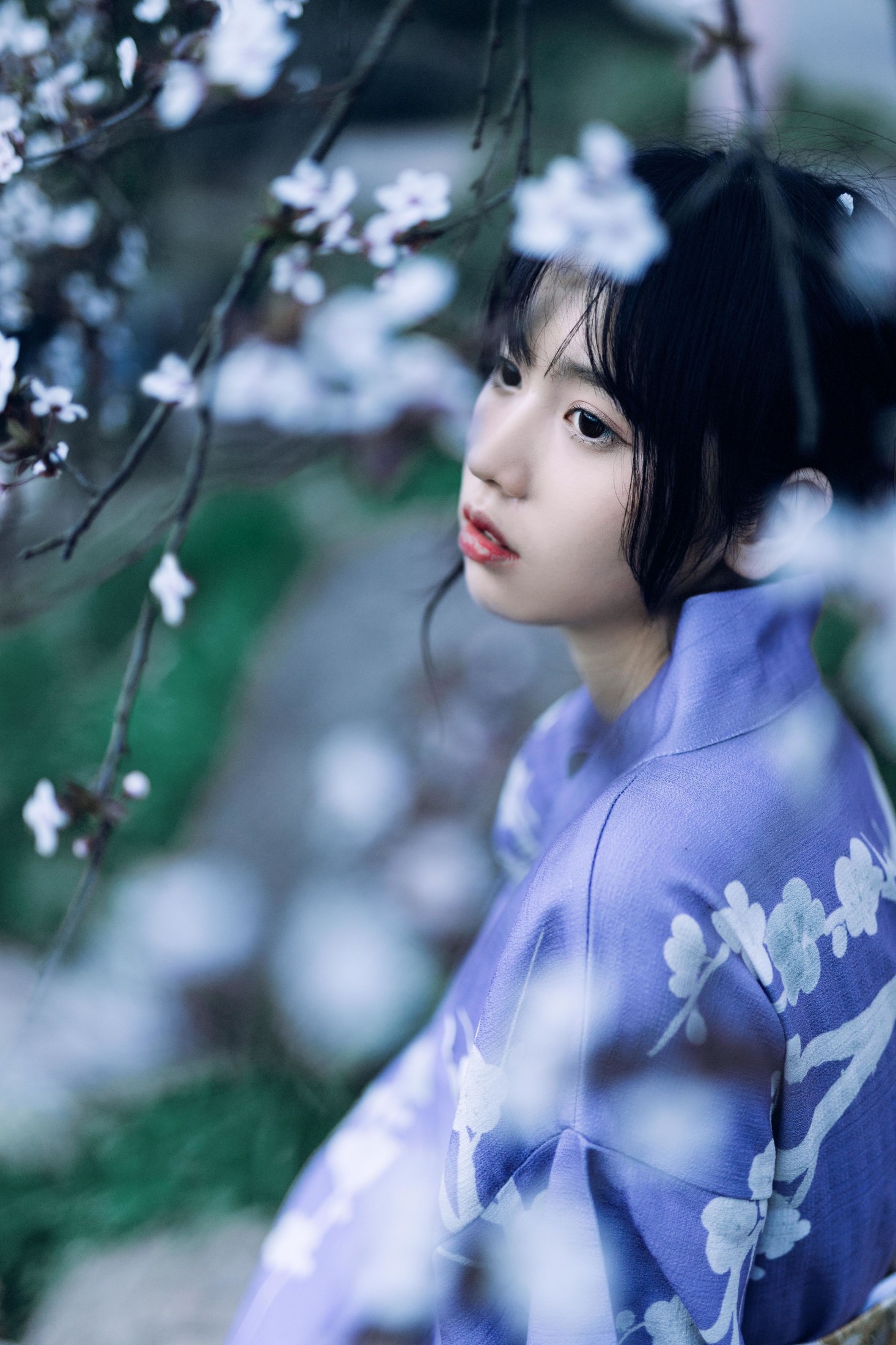 图片[4]-林木婷子 – 《懒樱》[24P]-COS写真在线网