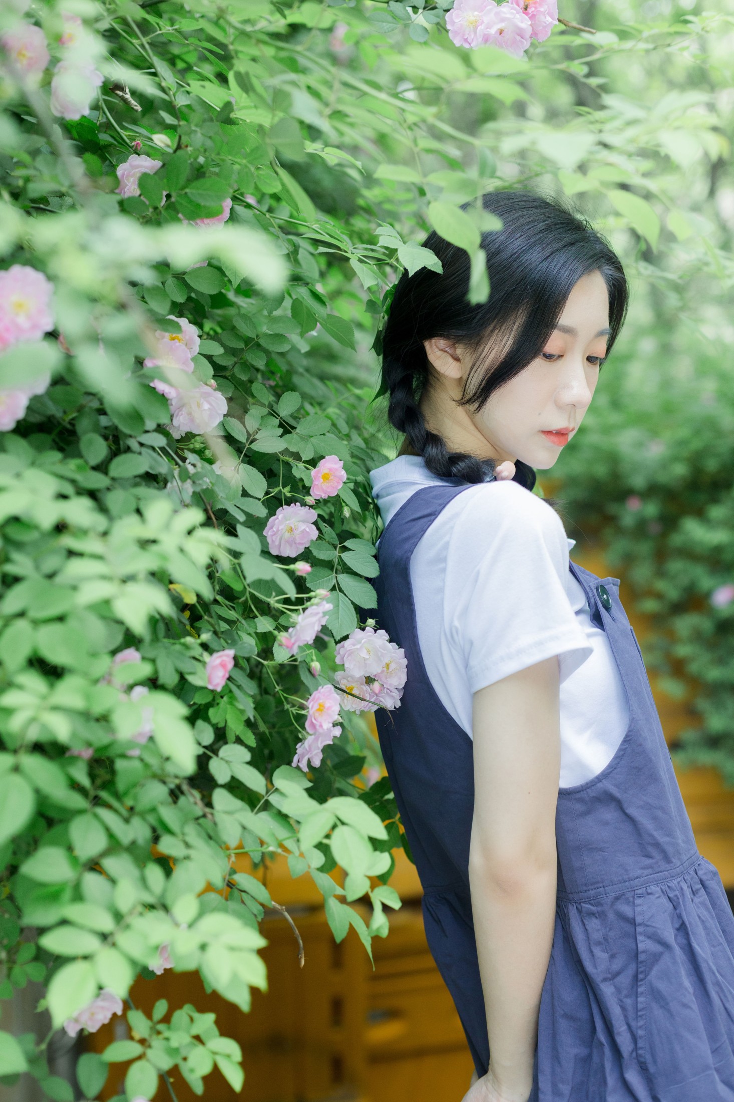 图片[5]-饲猫少女- – 《除了春天和蔷薇》[26P]-COS写真在线网