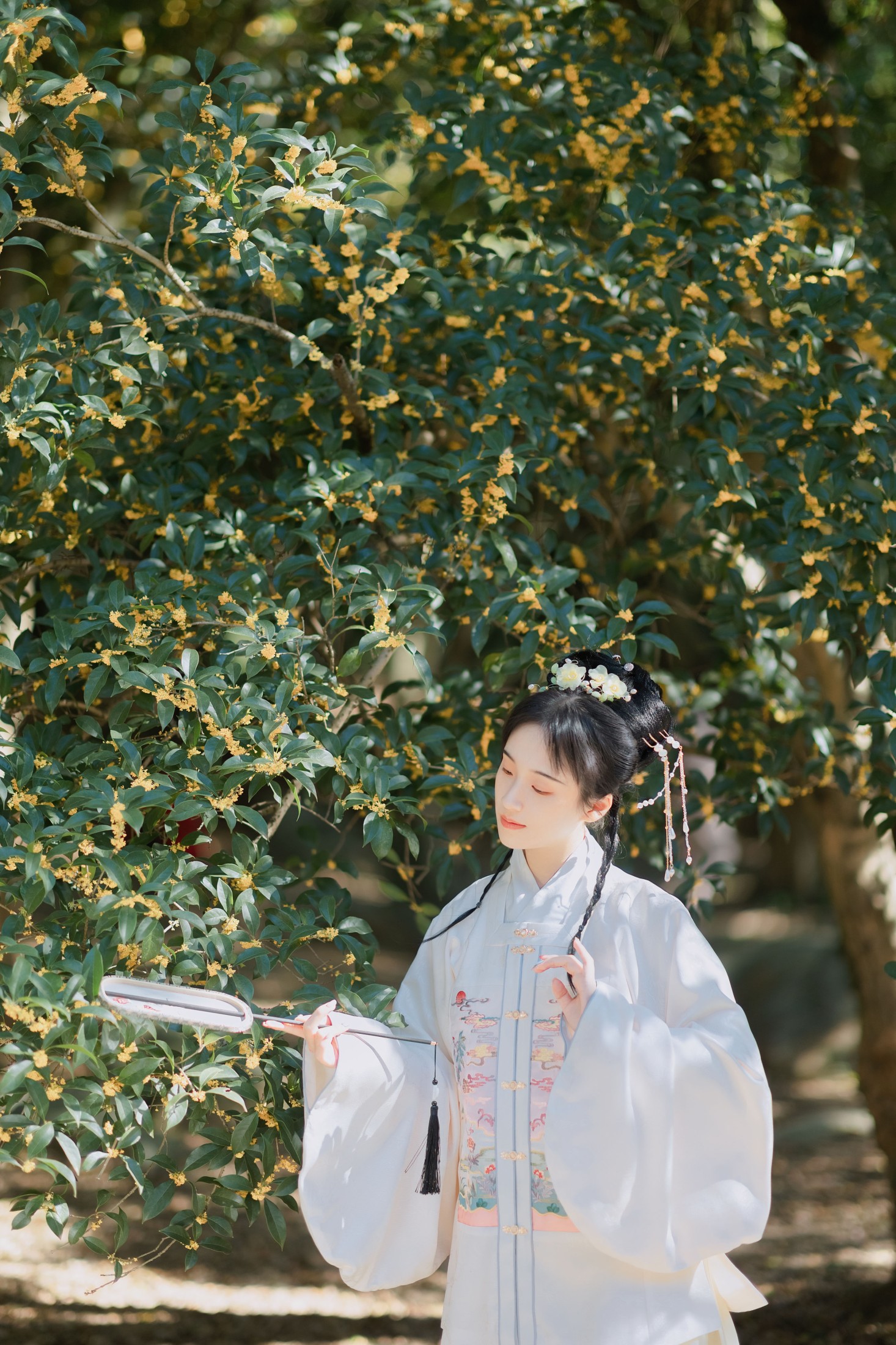 图片[3]-方莛玉 – 《折桂令》[33P]-COS写真在线网