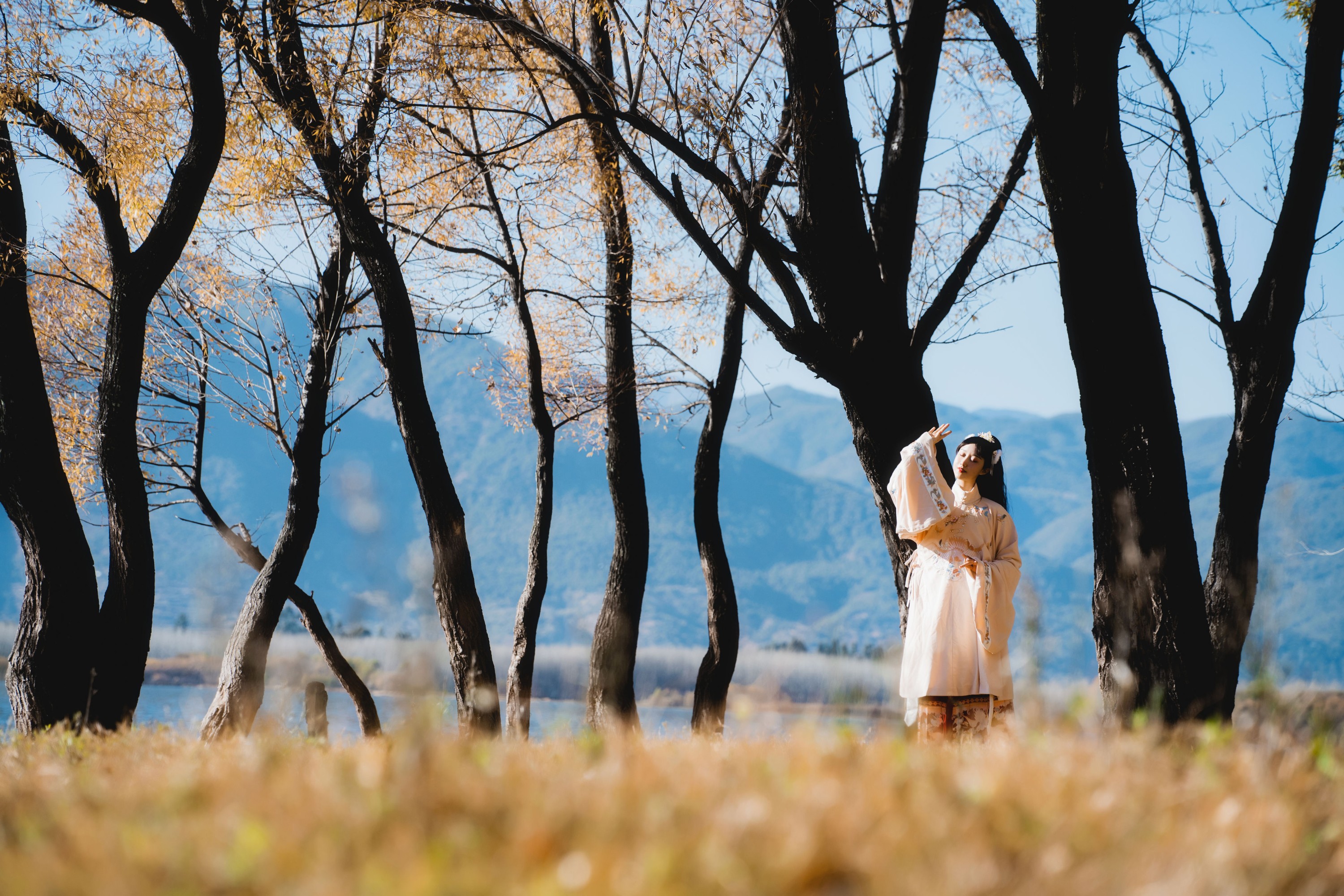 图片[3]-木棉棉VwV – 《山川如酒》[36P]-COS写真在线网