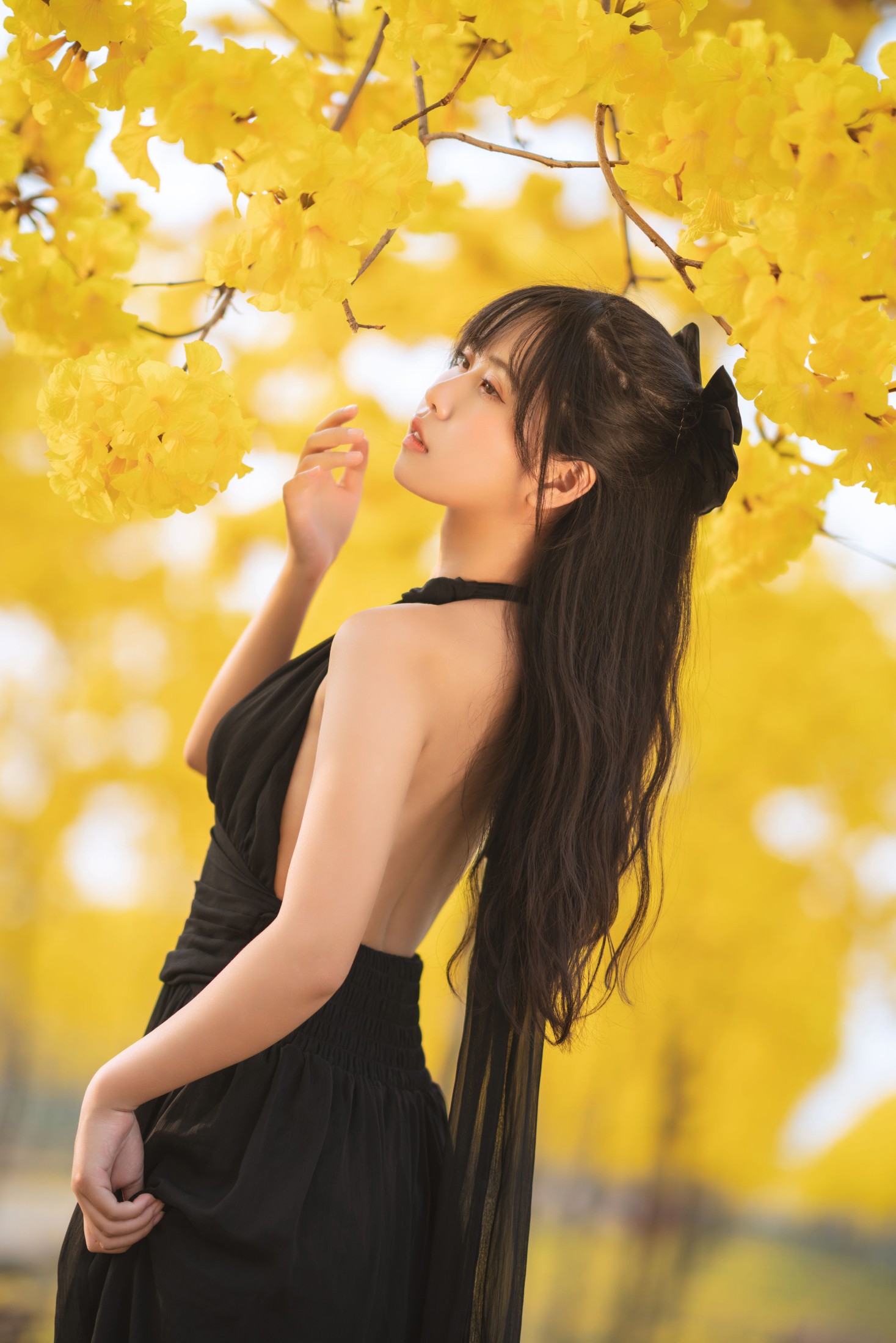 图片[3]-萌芽儿o0 – 《秋有银杏 春有黄风铃》[25P]-COS写真在线网