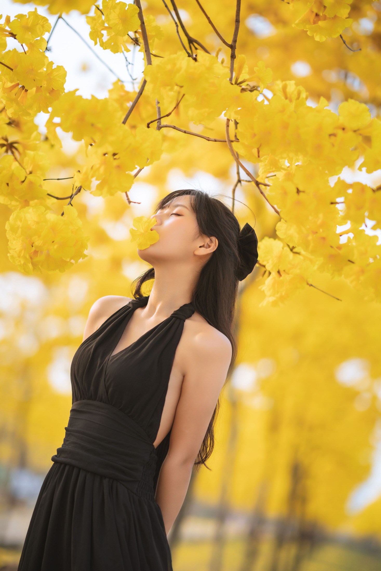 图片[5]-萌芽儿o0 – 《秋有银杏 春有黄风铃》[25P]-COS写真在线网