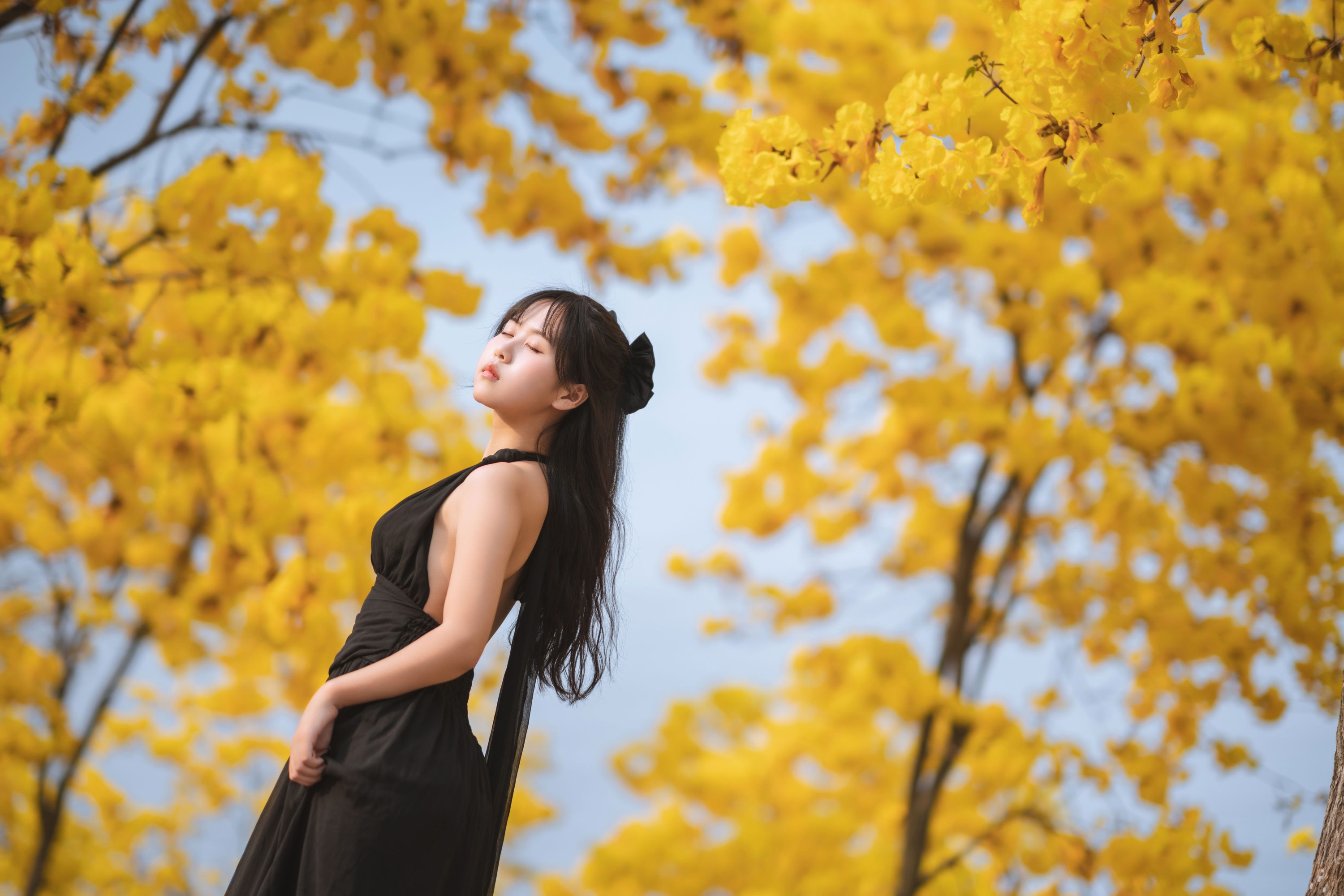 图片[4]-萌芽儿o0 – 《秋有银杏 春有黄风铃》[25P]-COS写真在线网